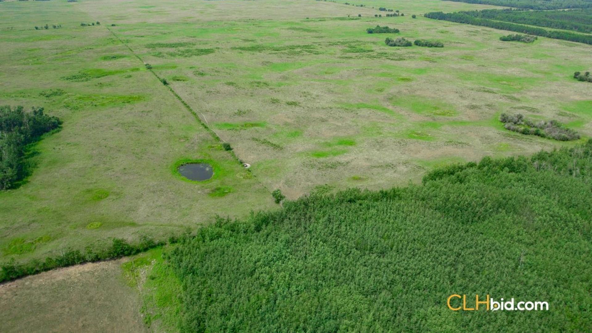 cattledrivecountry-3-7