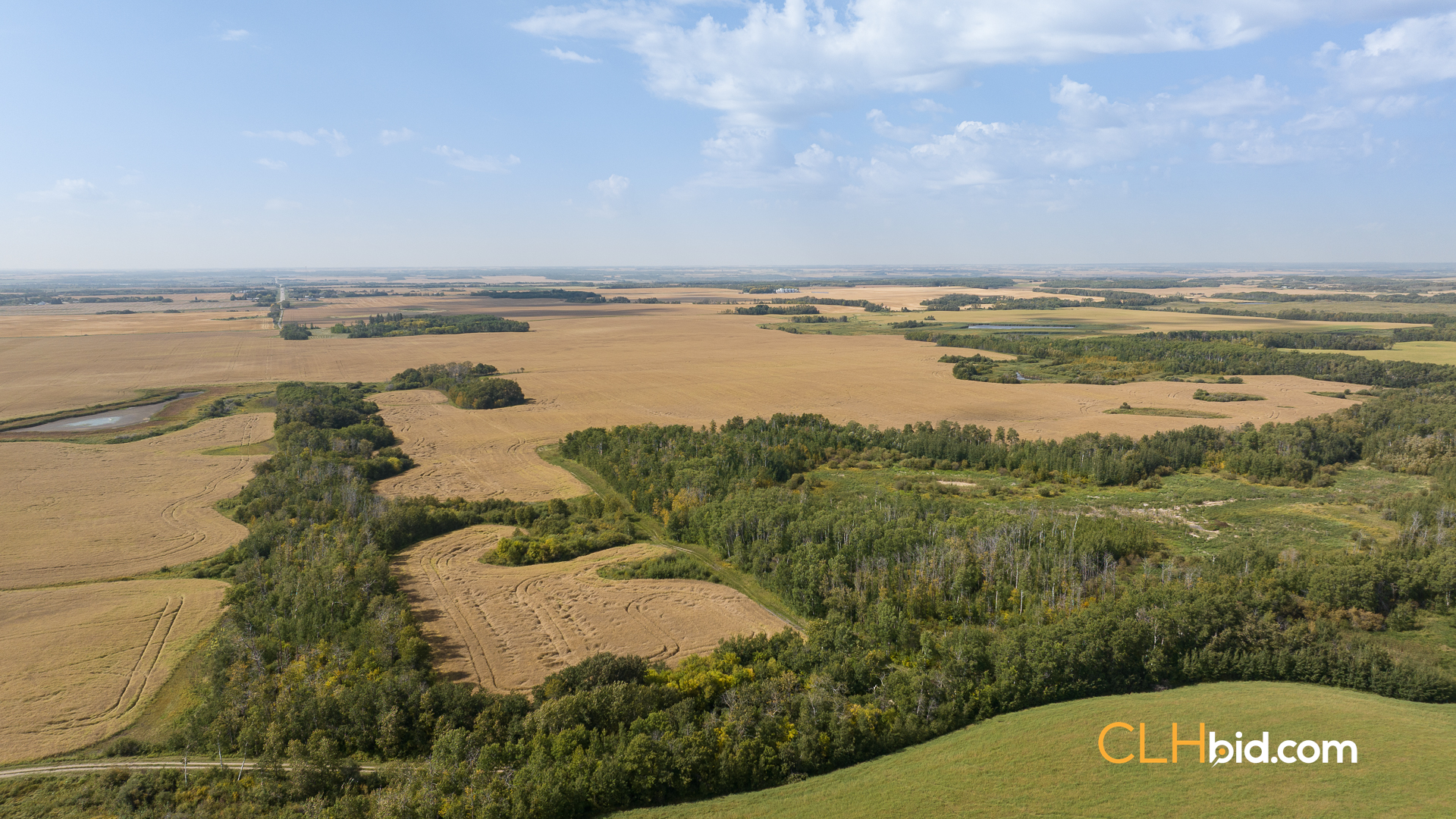 Web-RossburnPrimary-18