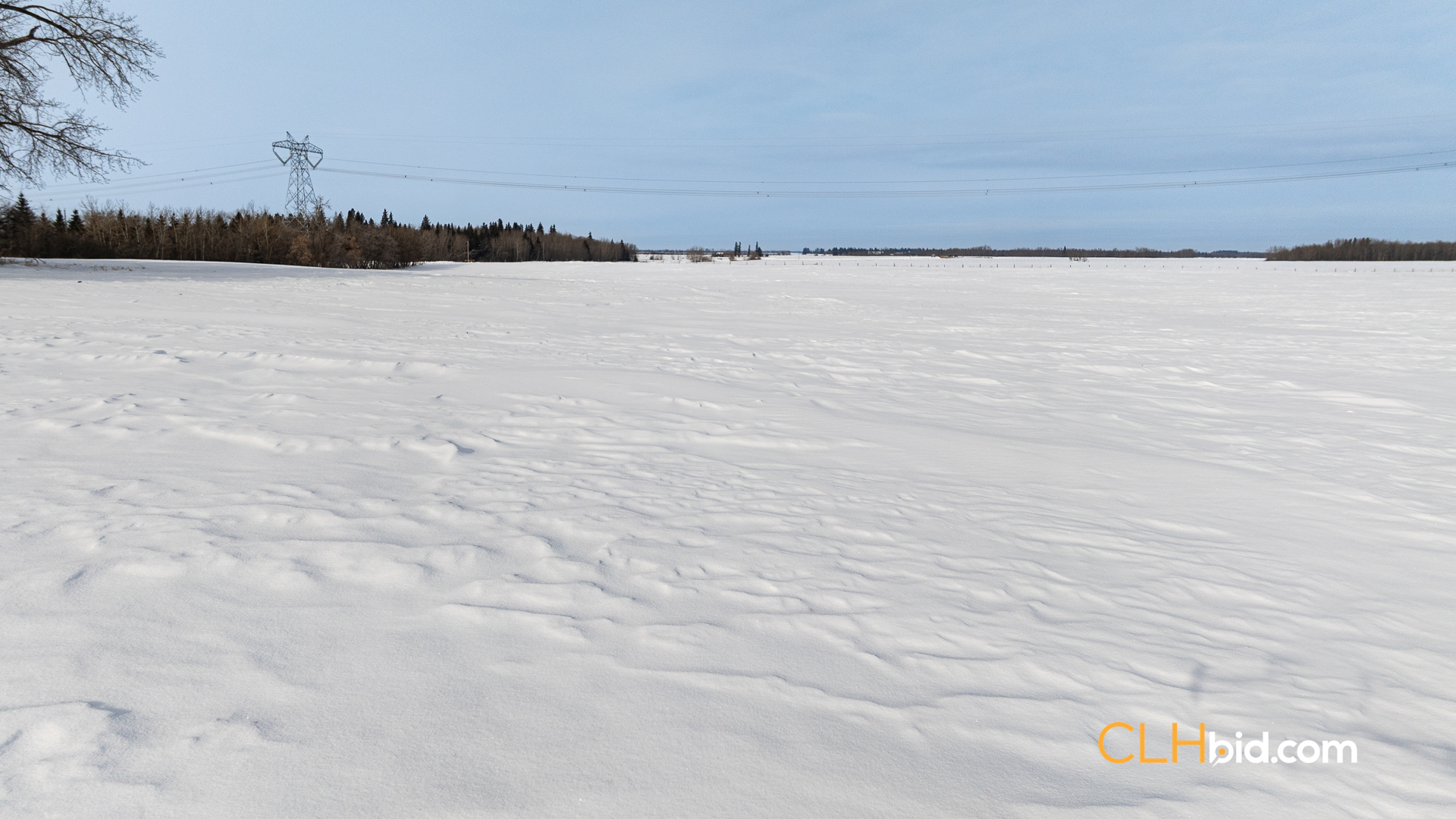 Web-LamontTopGrade-34