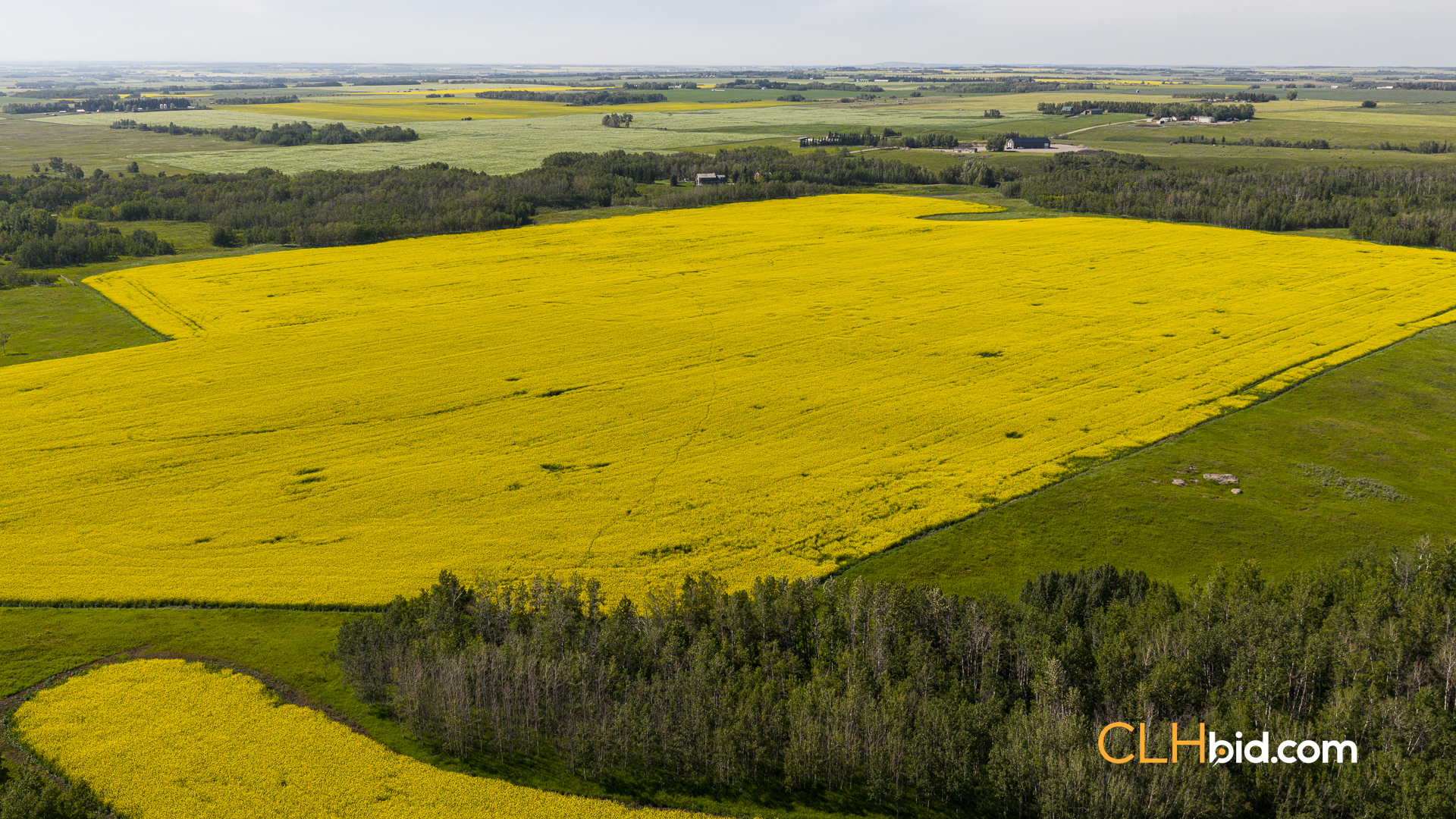 Web-FoothillsHeadliner-17