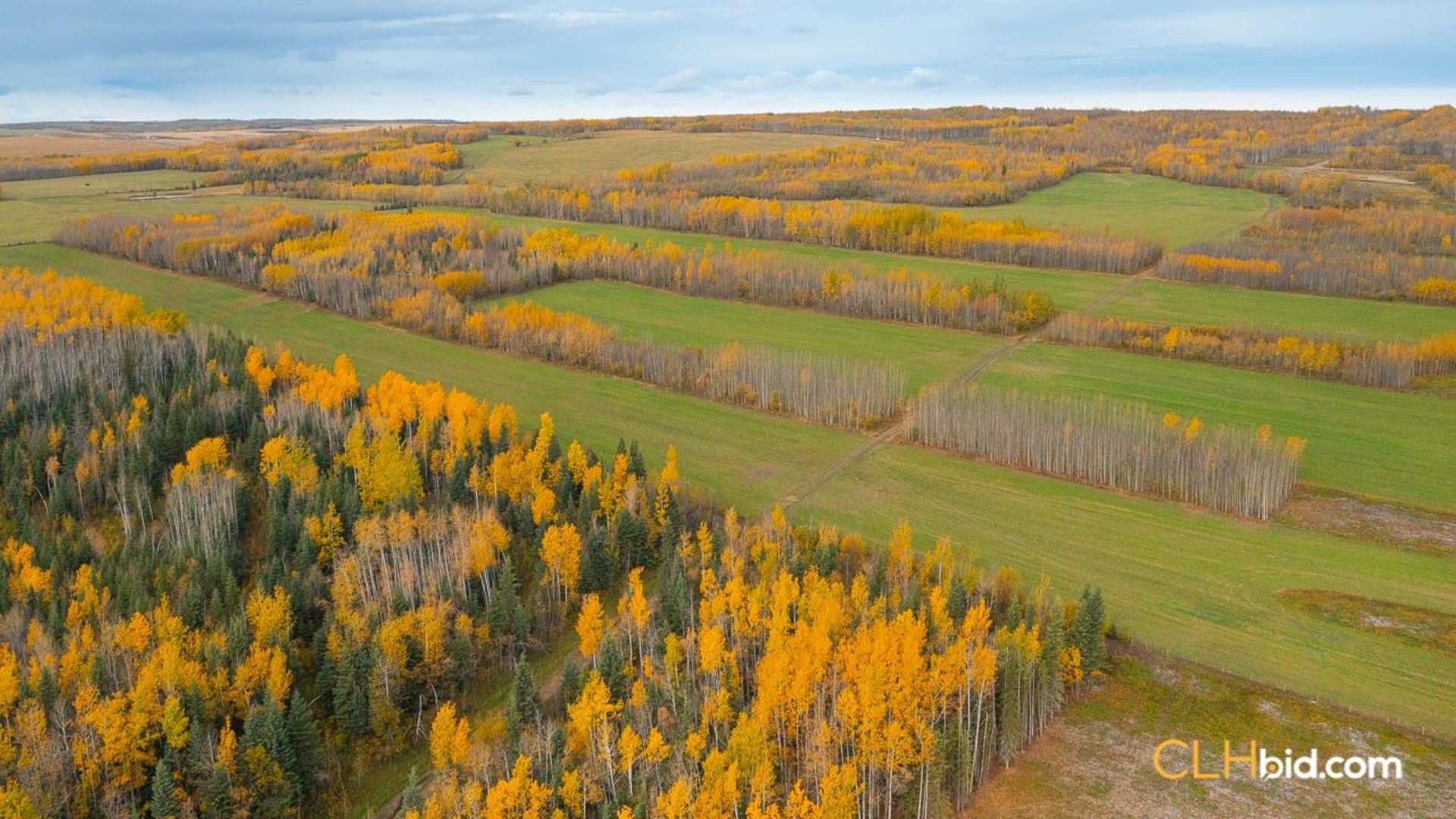 theranchonbradenroad-1-17