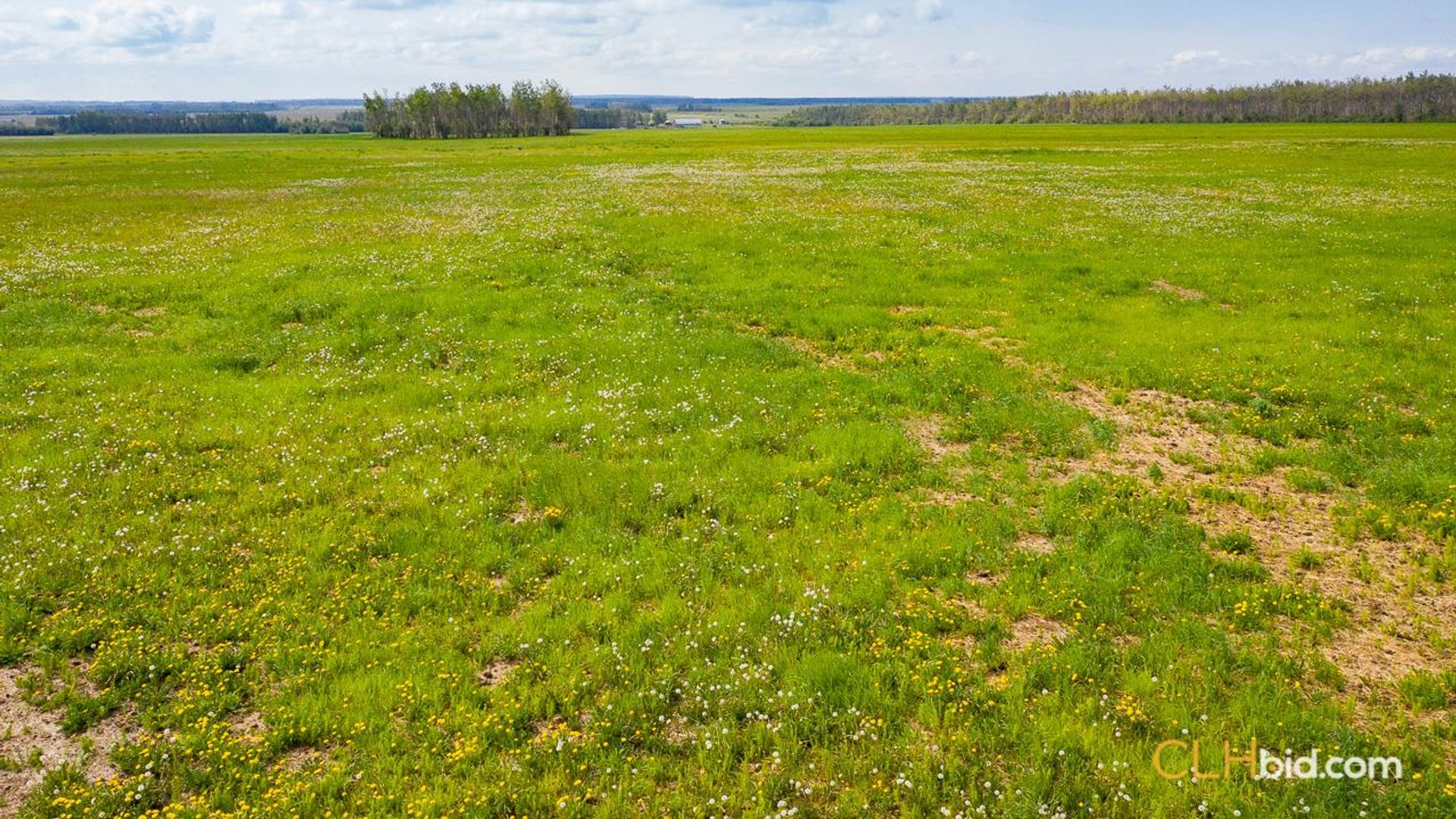 silvervalleydiamondintherough-1-5