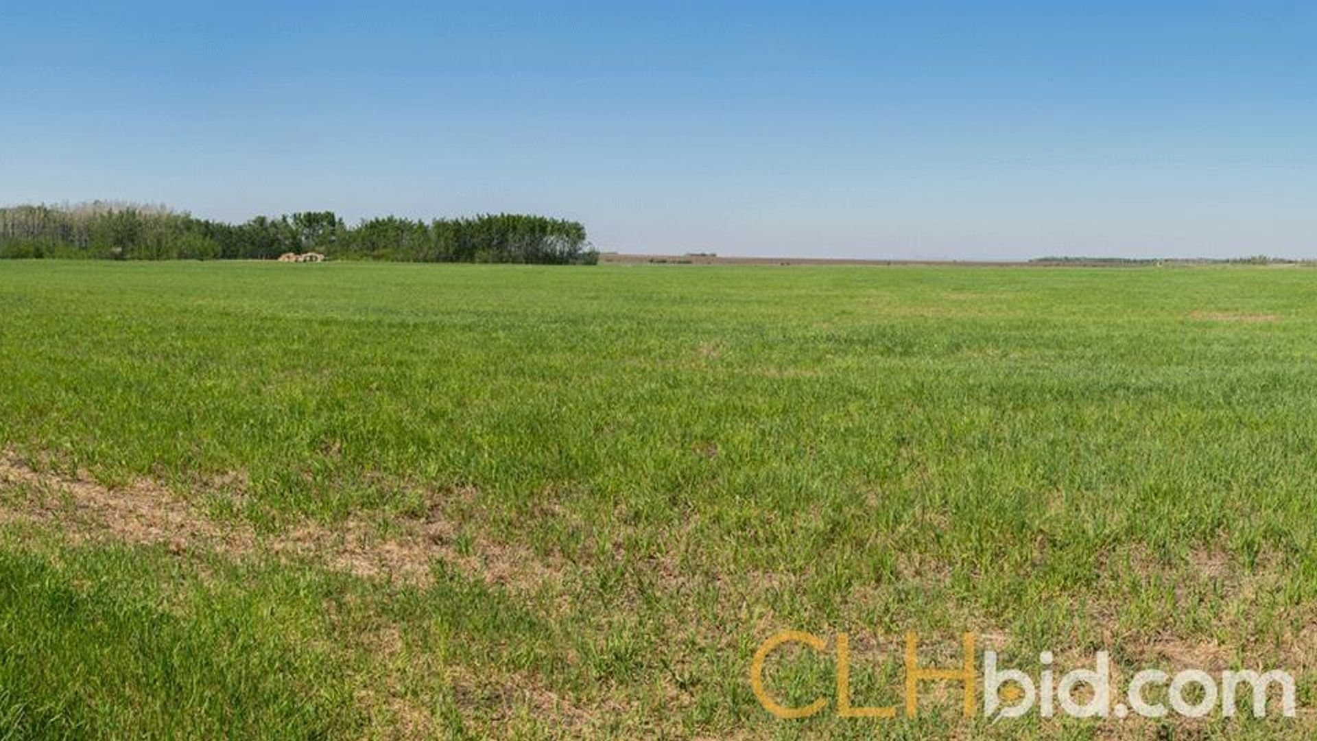 kleskunhillsranchmartineaufarms-9-2