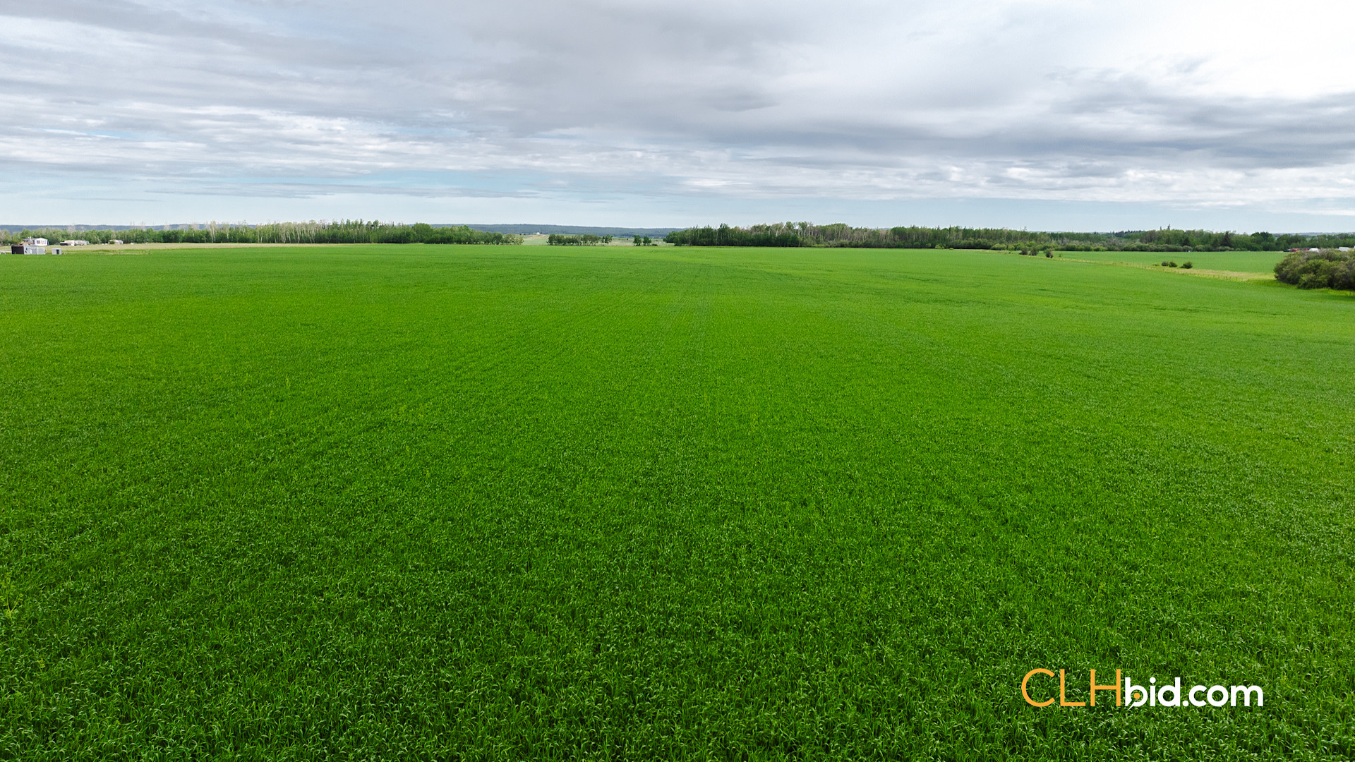 Web Triple Off Hwy 59-4