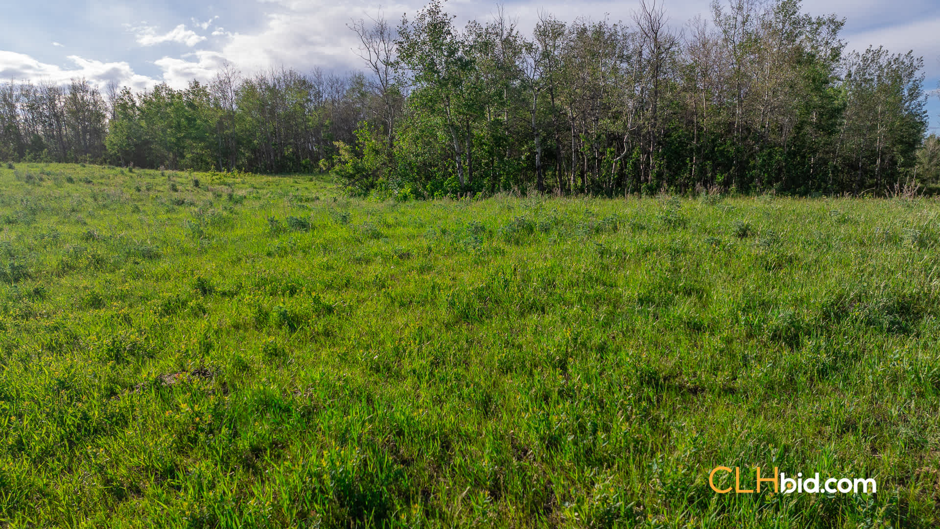 Web-Delburne-13