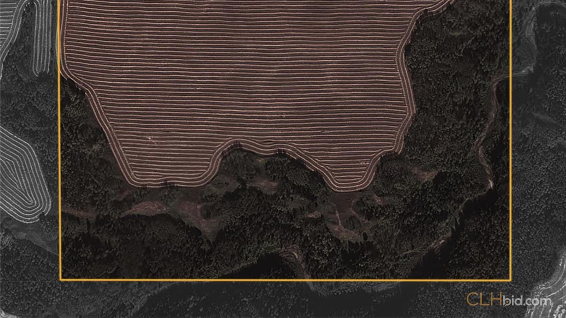 directlinelassiterroad-2-5