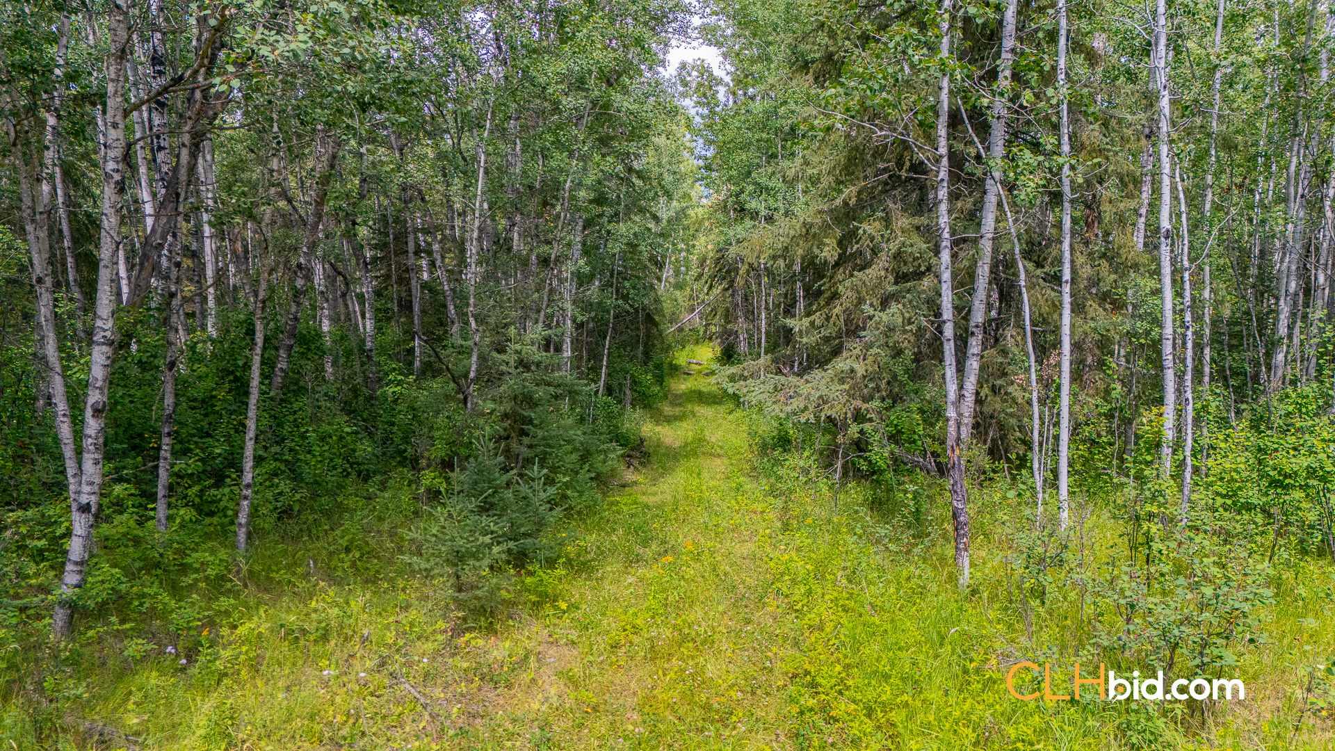 Web-Barrhead3Timer-3