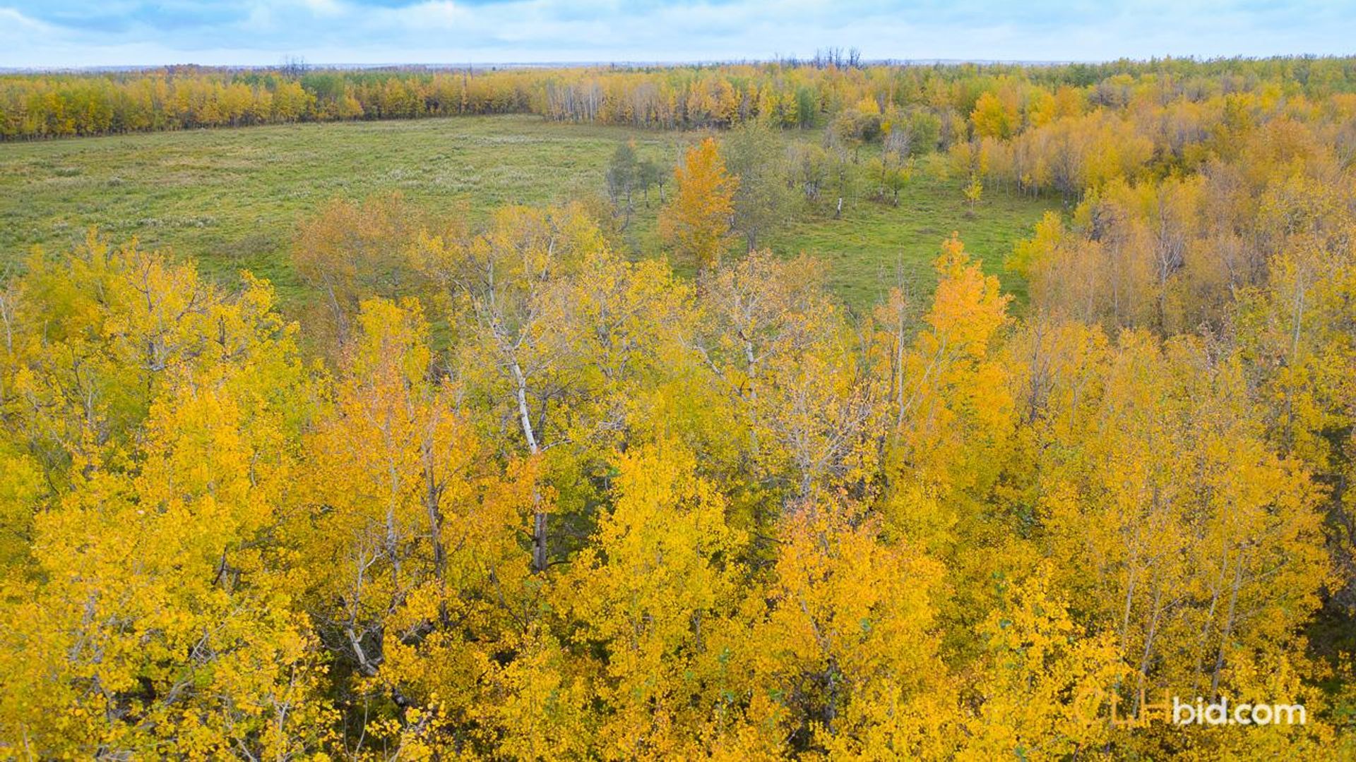 countryfarmsonhighway14-3-9