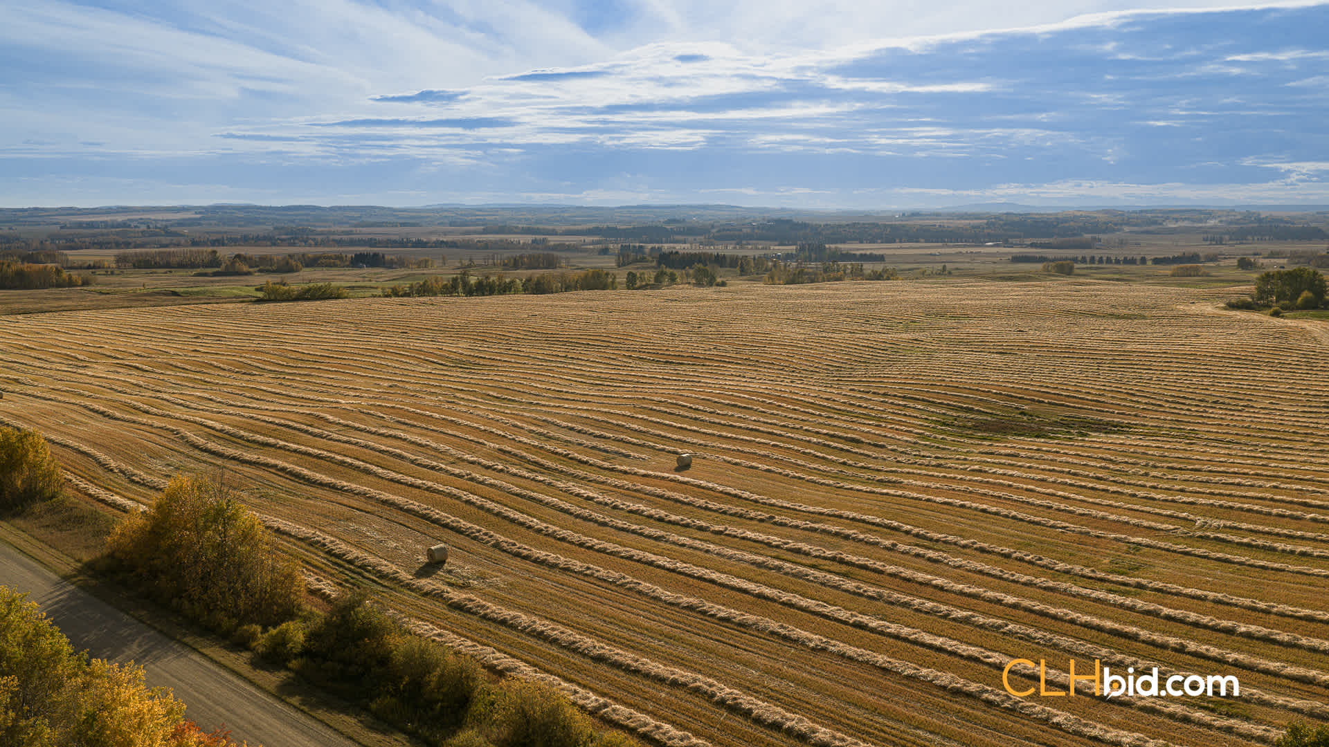 View from above of Rollin' Royal