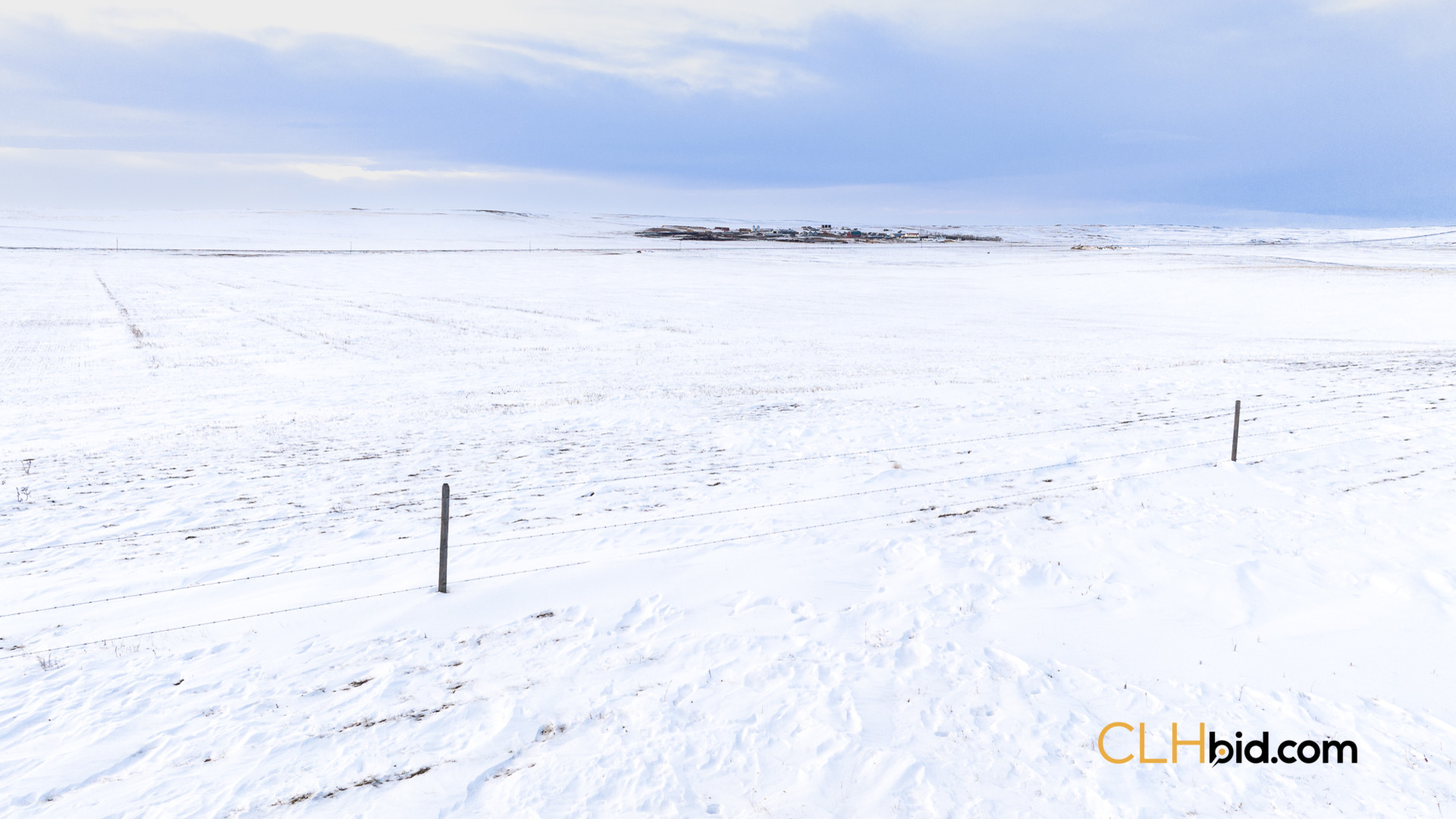 P4 Web169-AcresOfPedigree-21