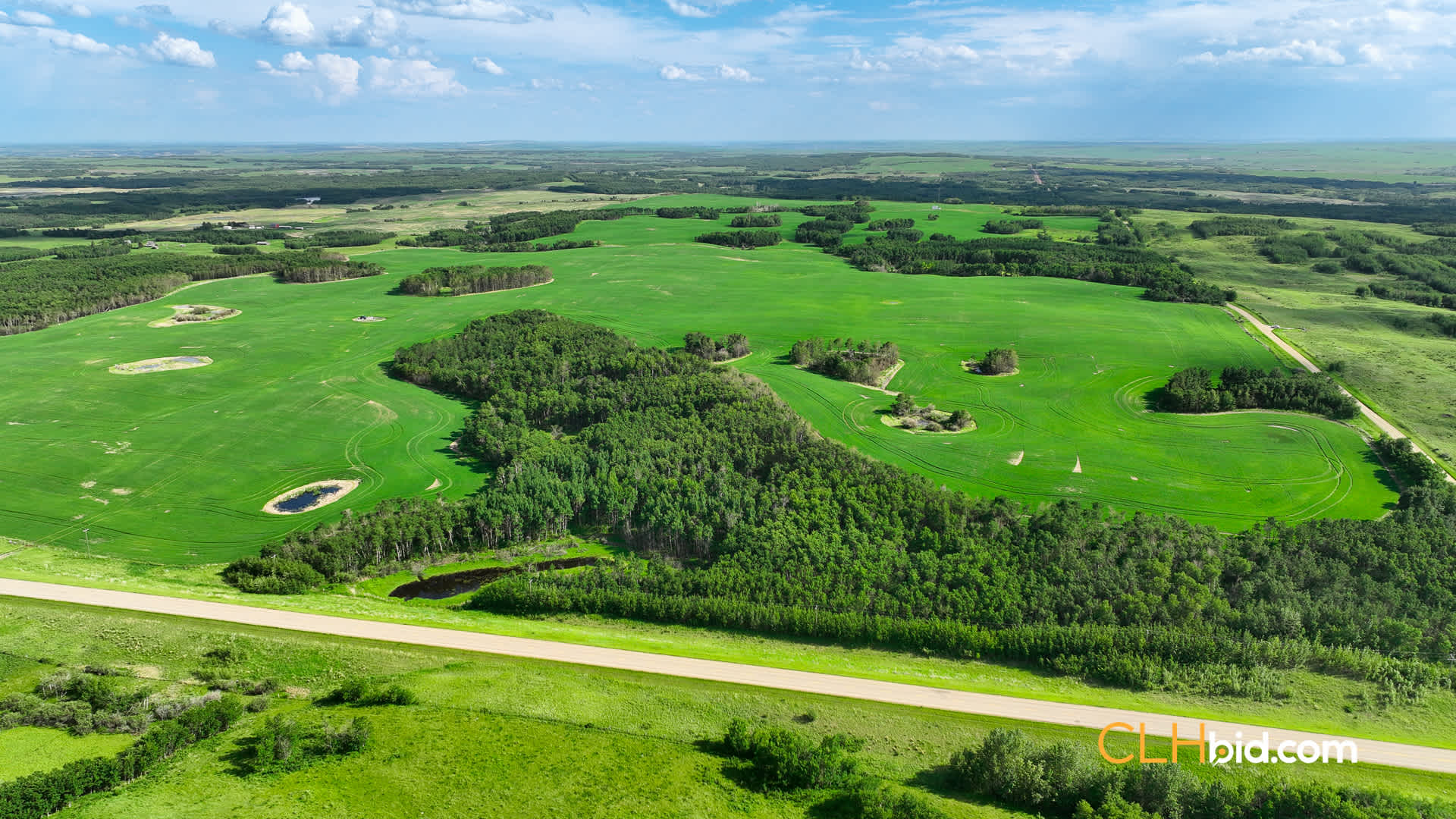 Web-RDReal-26