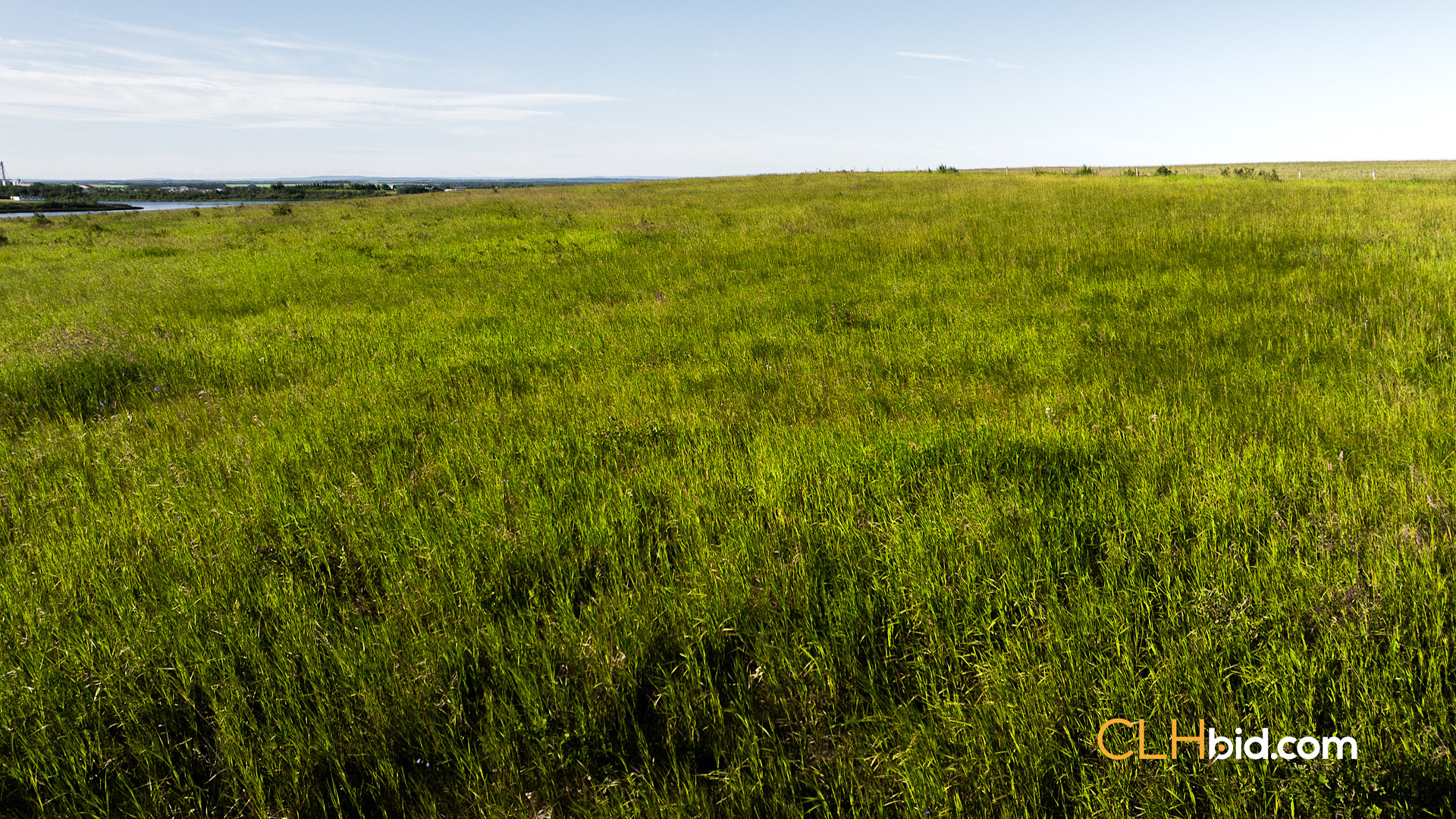 Web Rare Opportunity Dimsdale-7