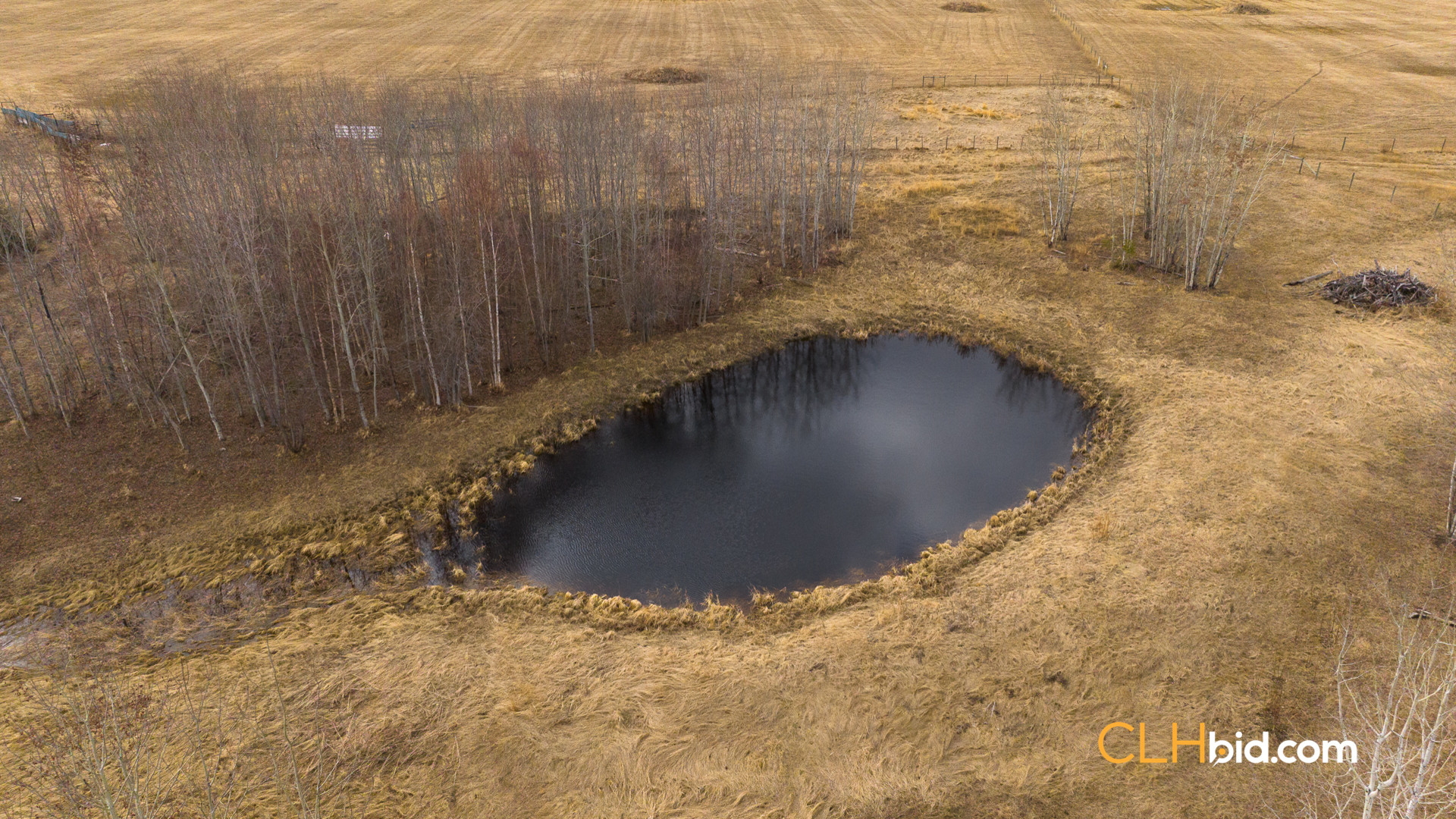 Web-RanchersChoice-7