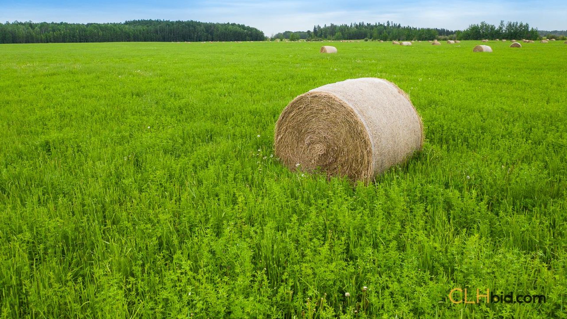 warburgdoubletree-1-6