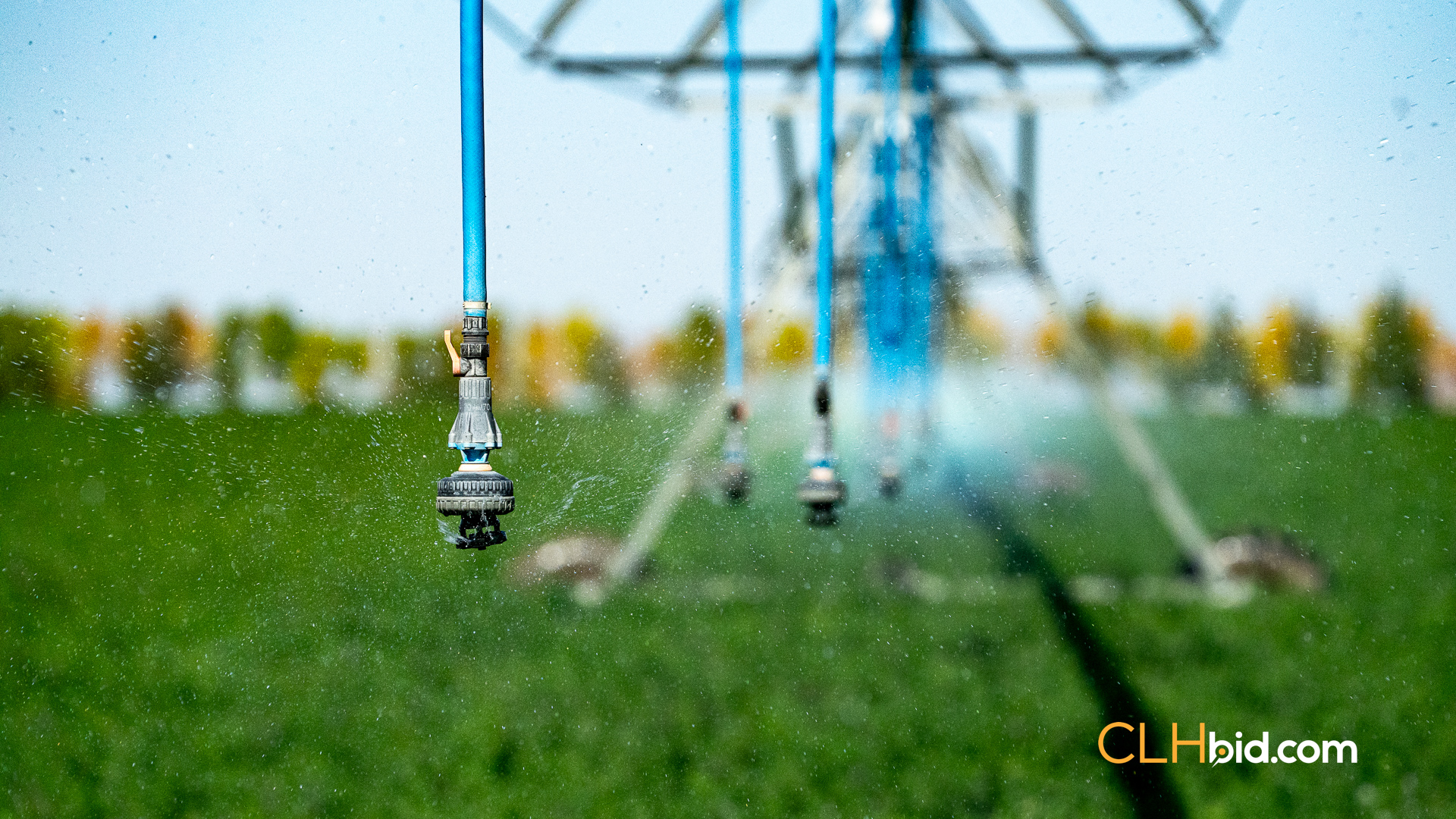 Web-MegaFortyMile-69