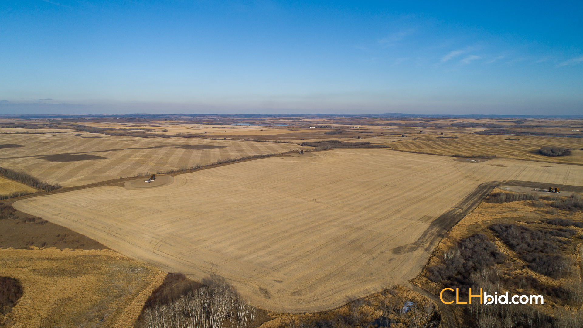 Web-Nine-Of-Diamonds-18