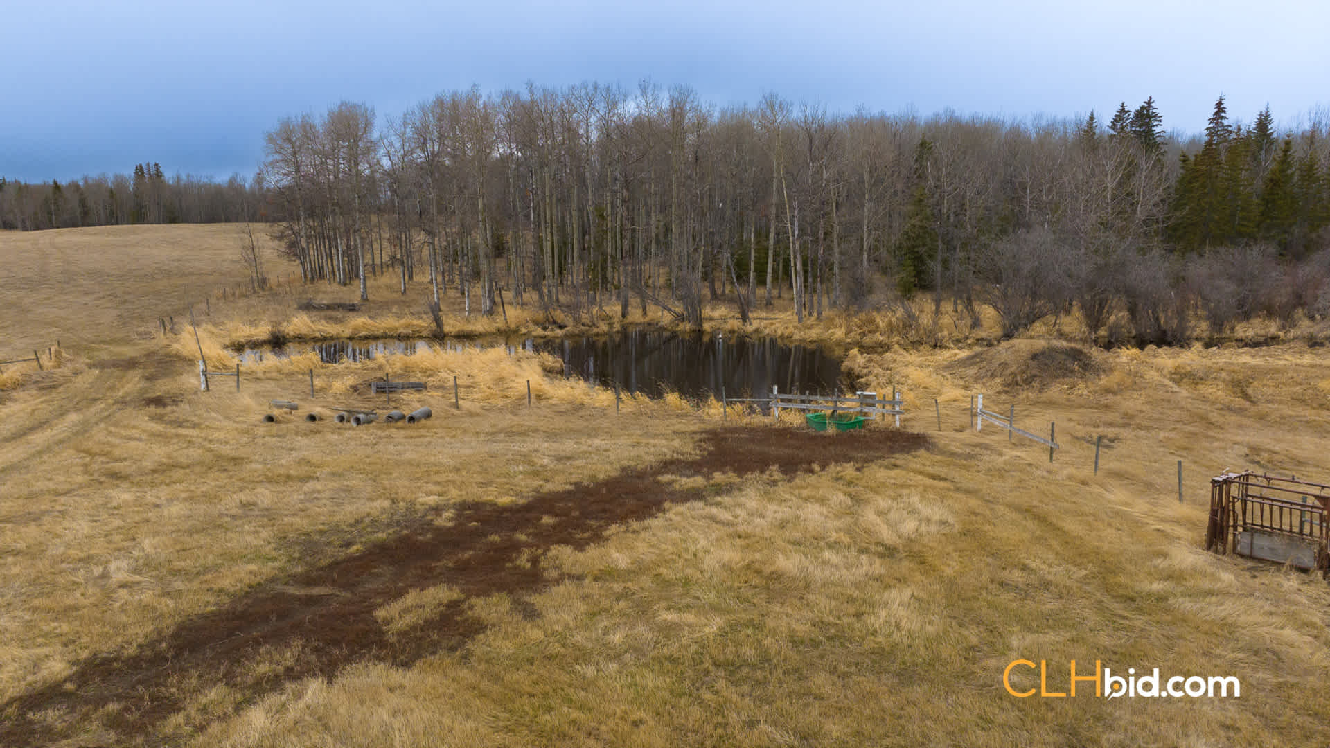 Web-Peavine-12