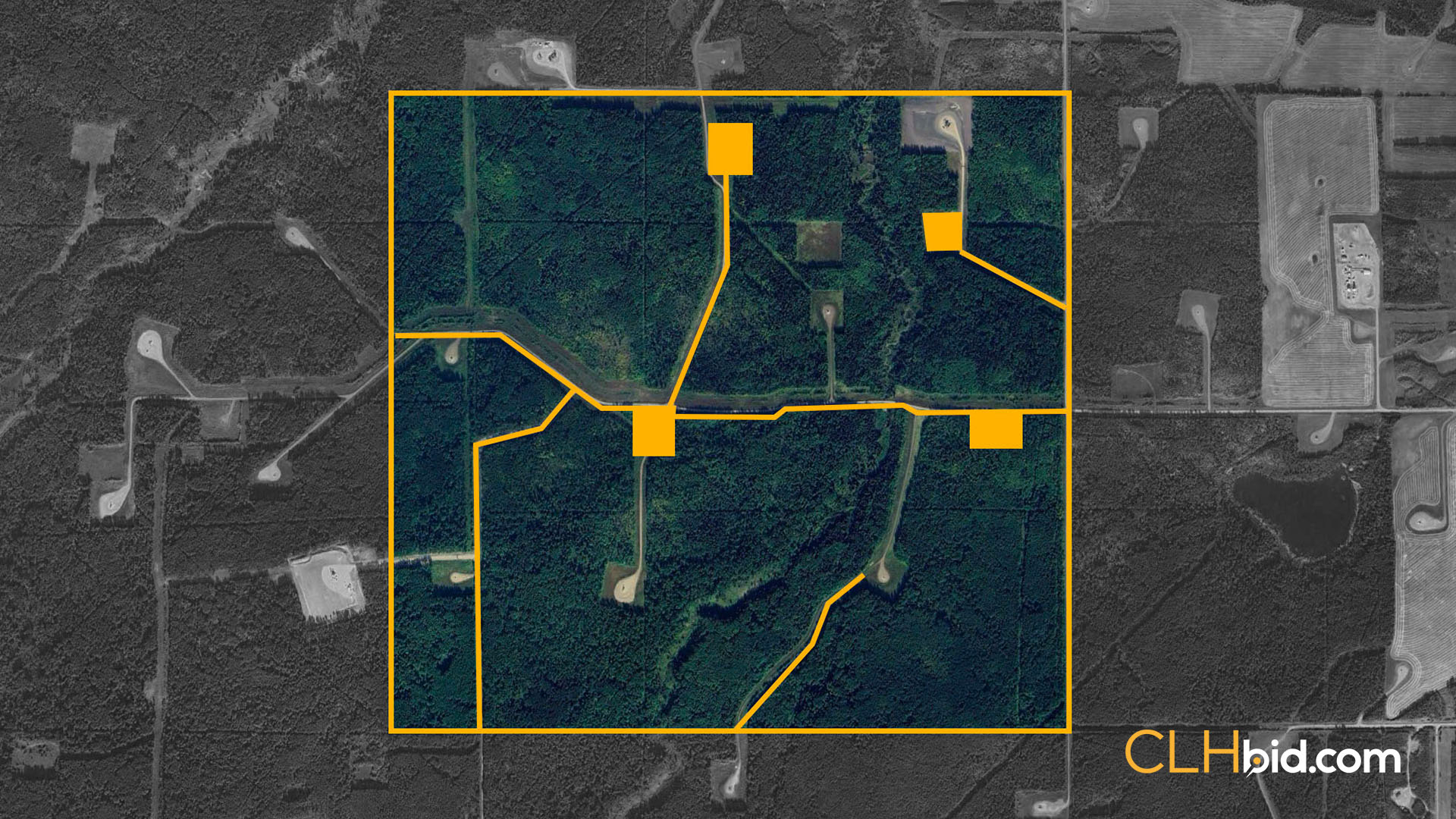 DOLL - WIDE Contentful