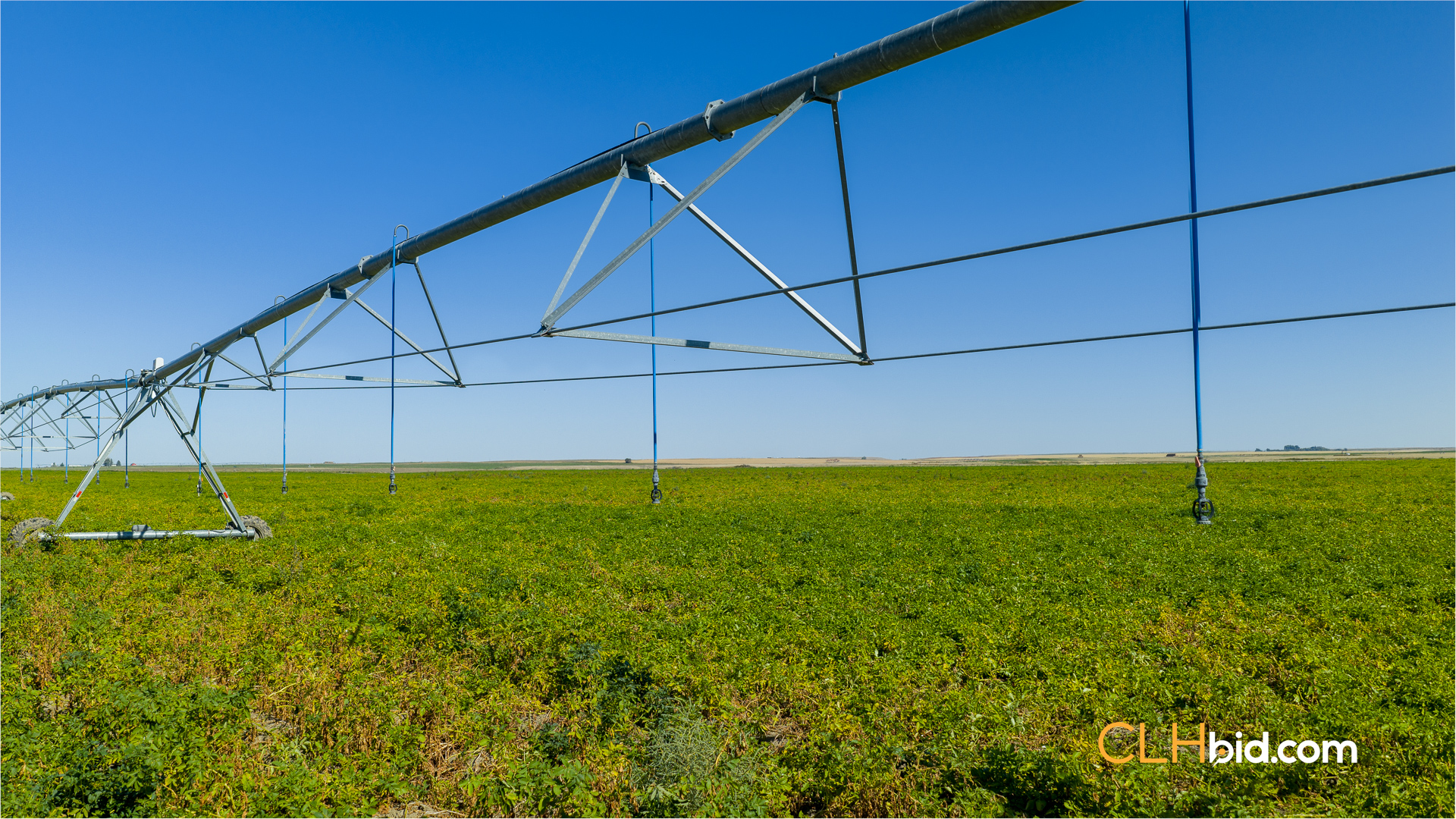 Web-MegaFortyMile-26