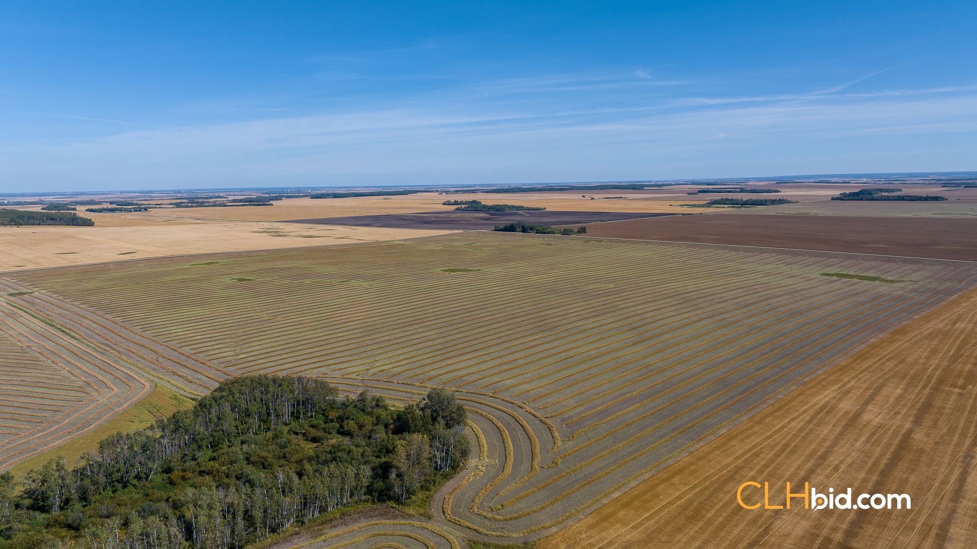 Web-Tisdale-Titan-10