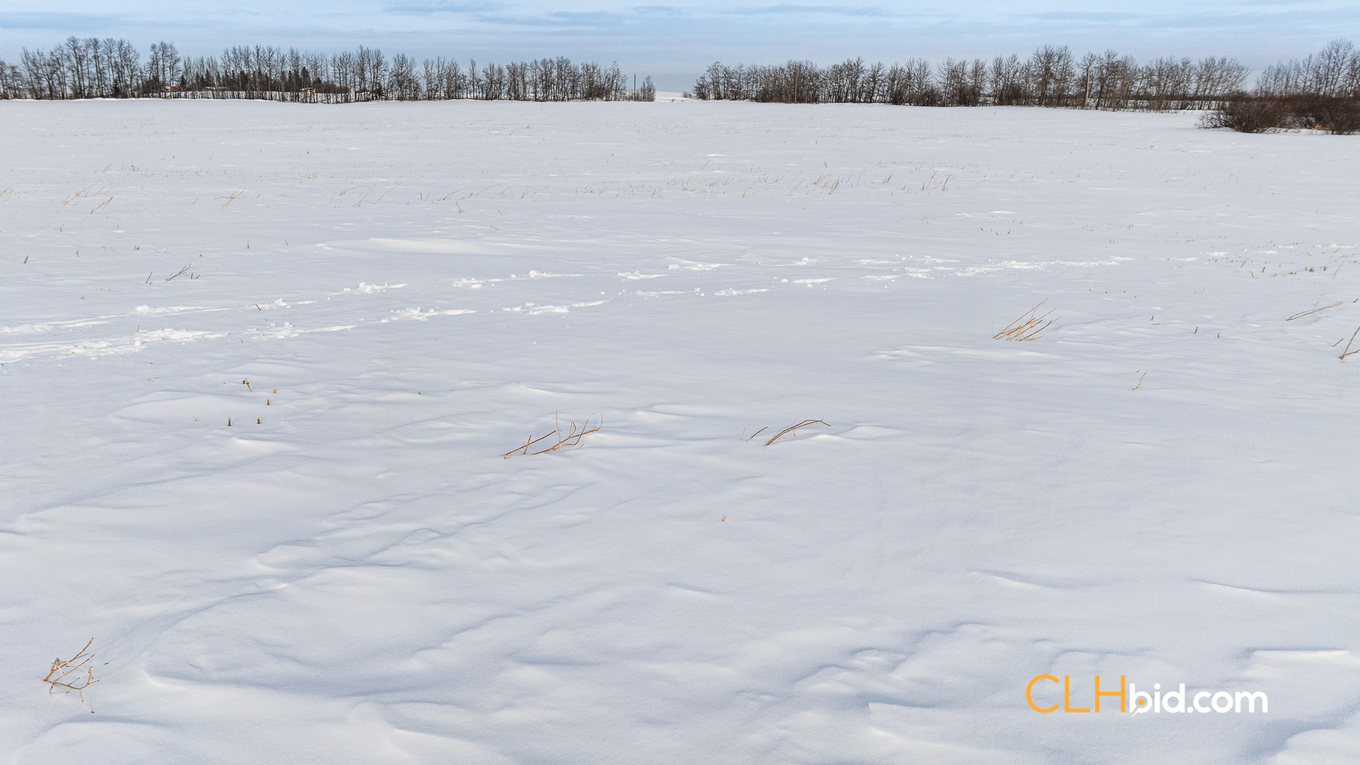 Web-LamontTopGrade-48