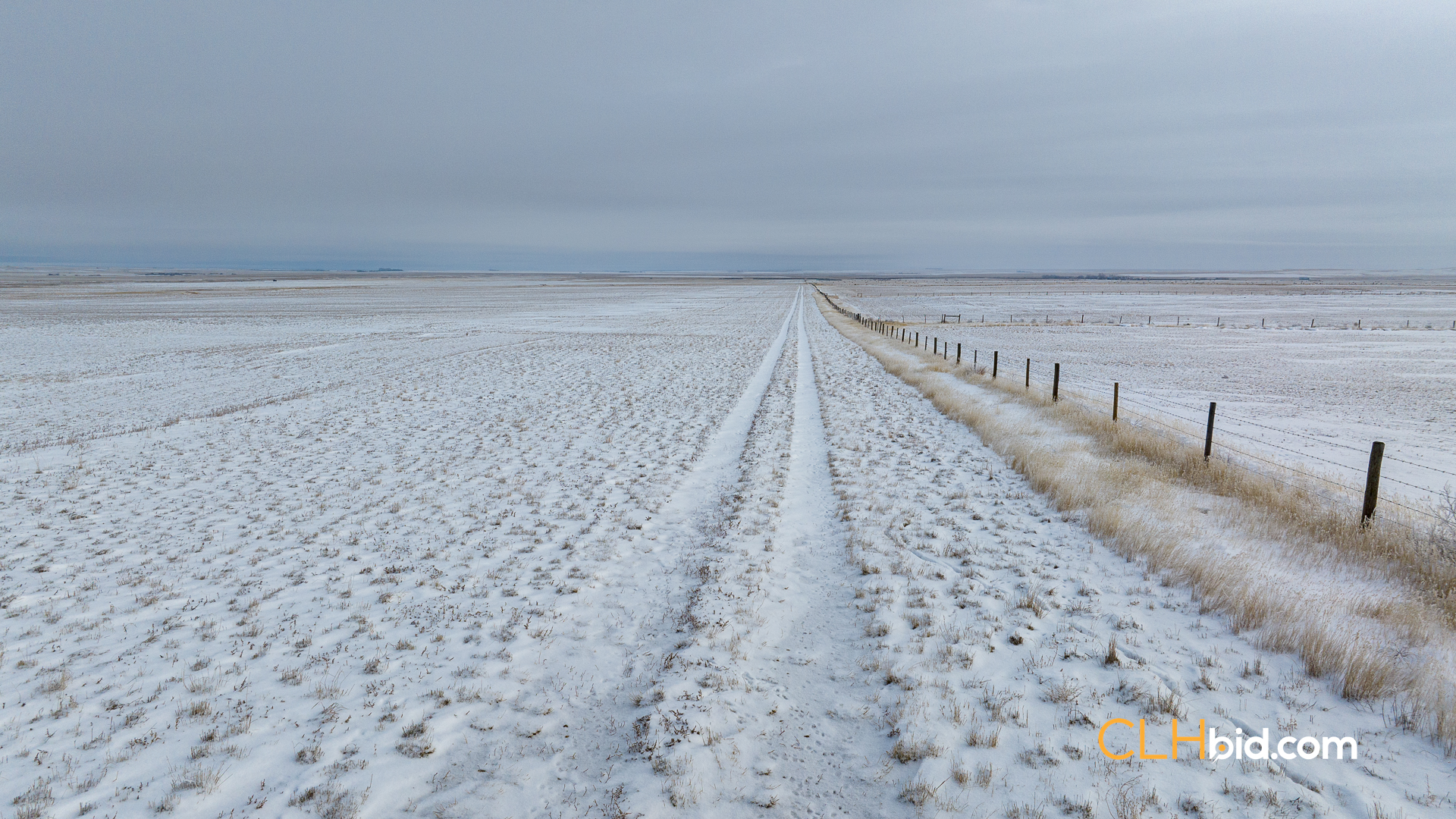 Web-Hazenmore-On-My-Mind-20