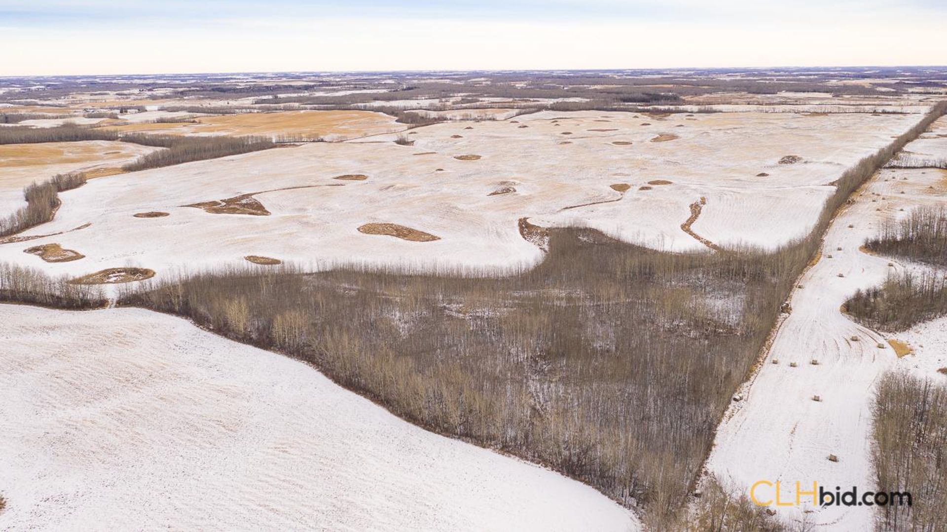 barrheadbigoptions-1-13