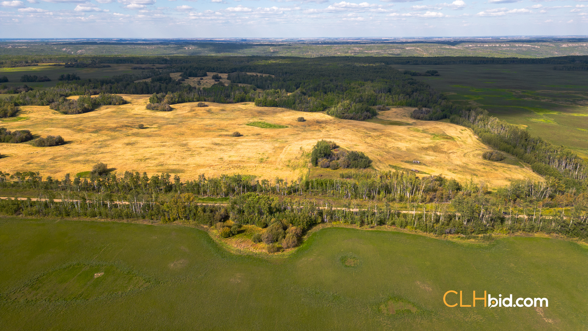 Web Wanham Expander-2