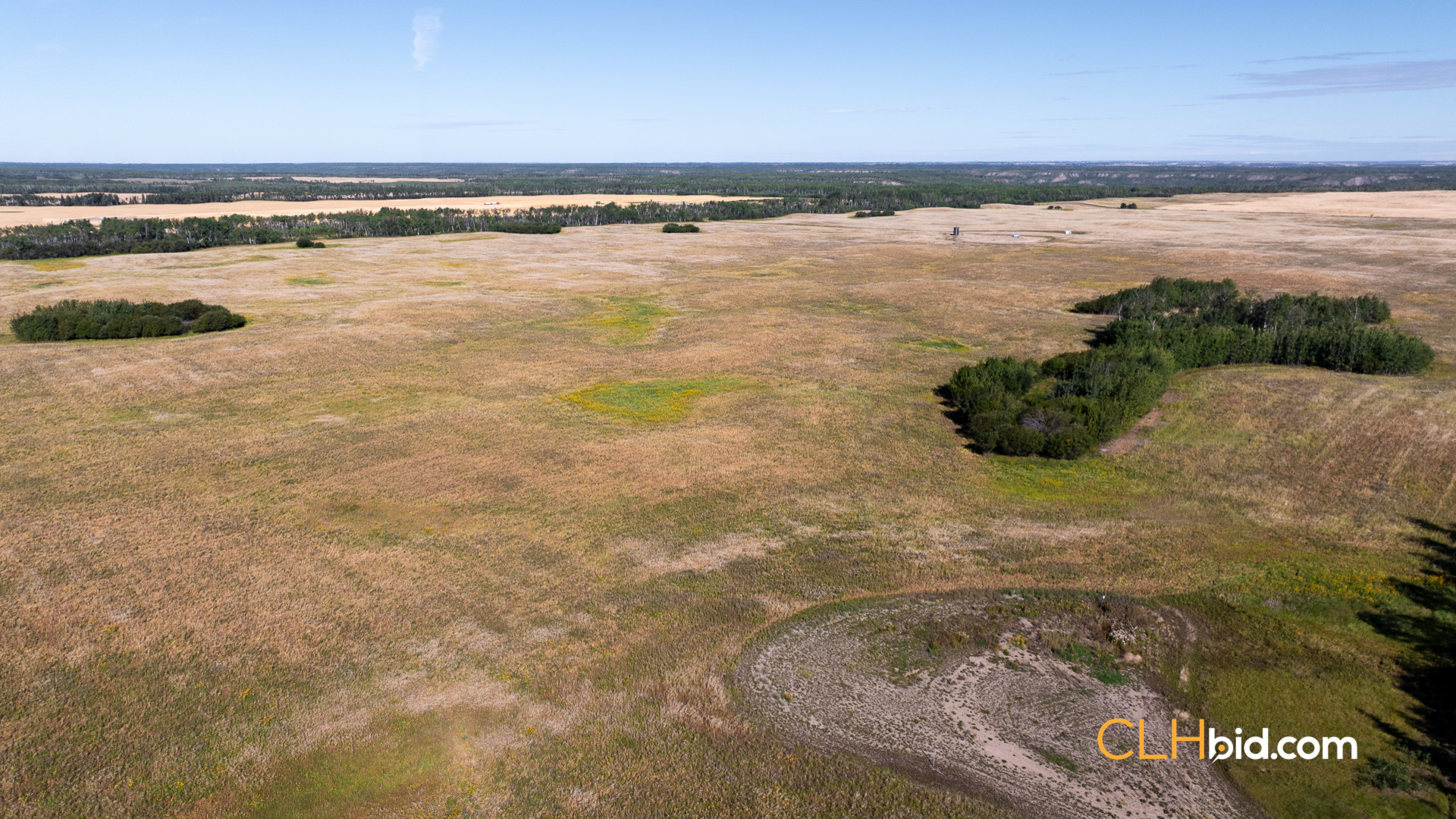 Web Veteran Legacy-10