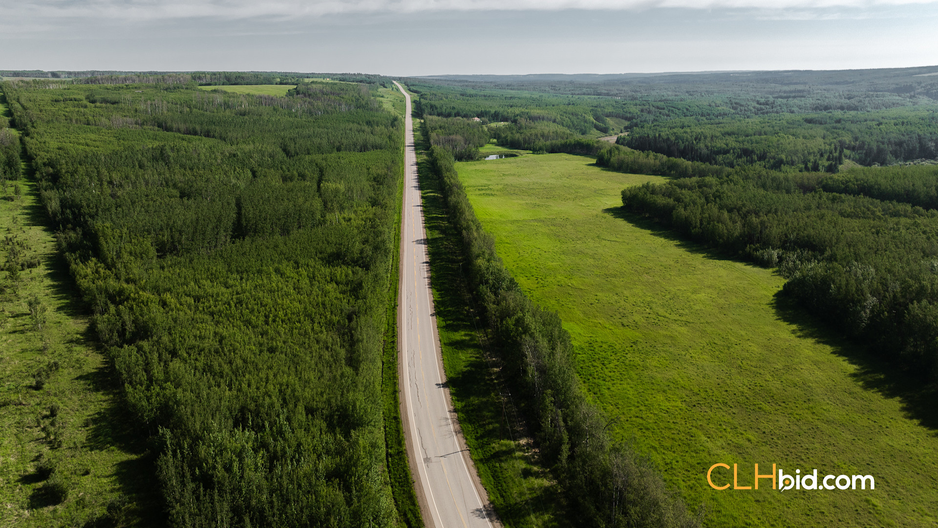 Web The Wild at Braden Rd-10