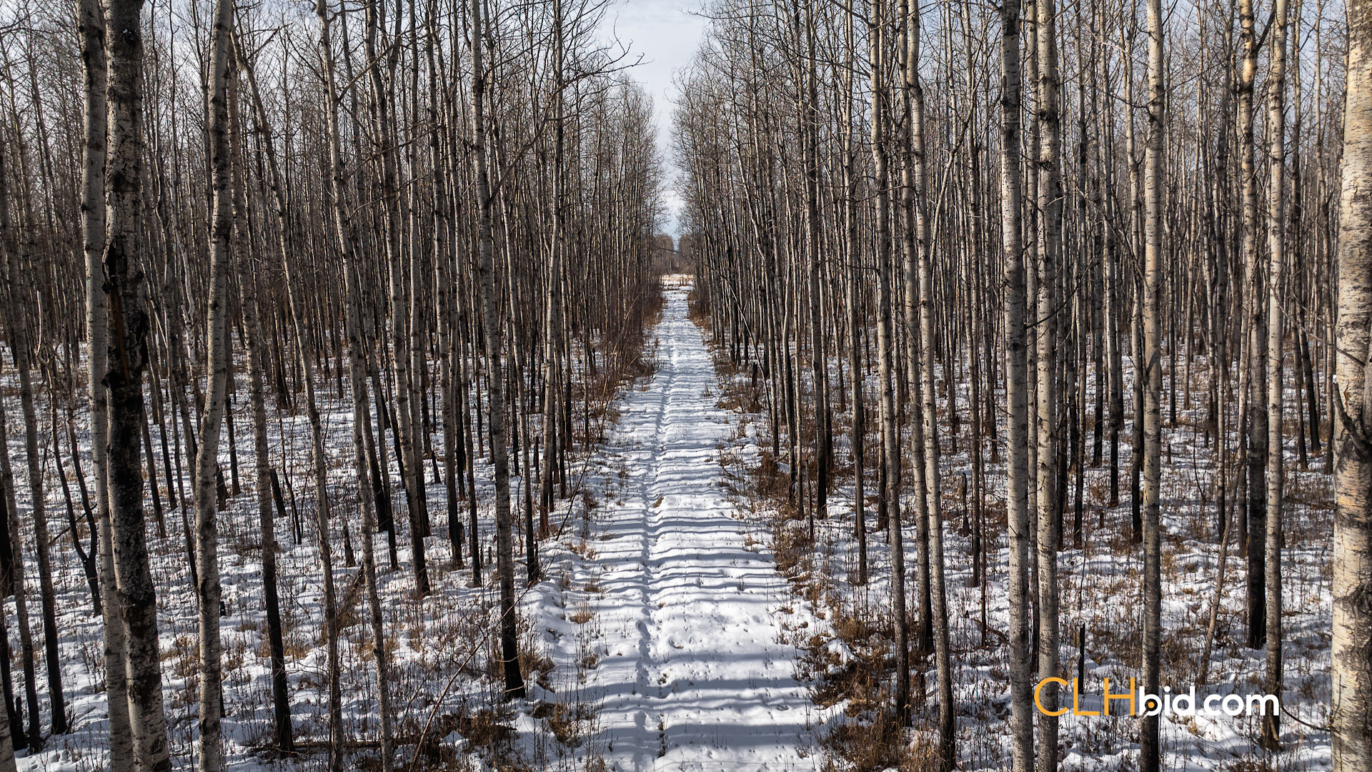 Web Sunrise Igniter-9