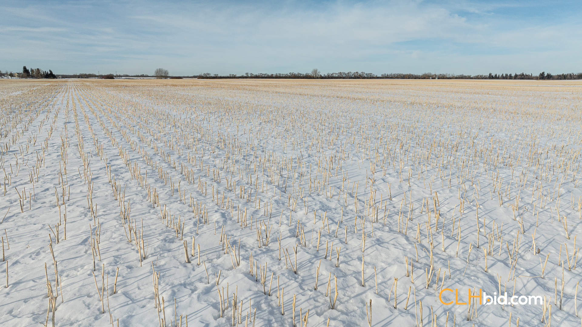 Web-TripleHorsepower-19