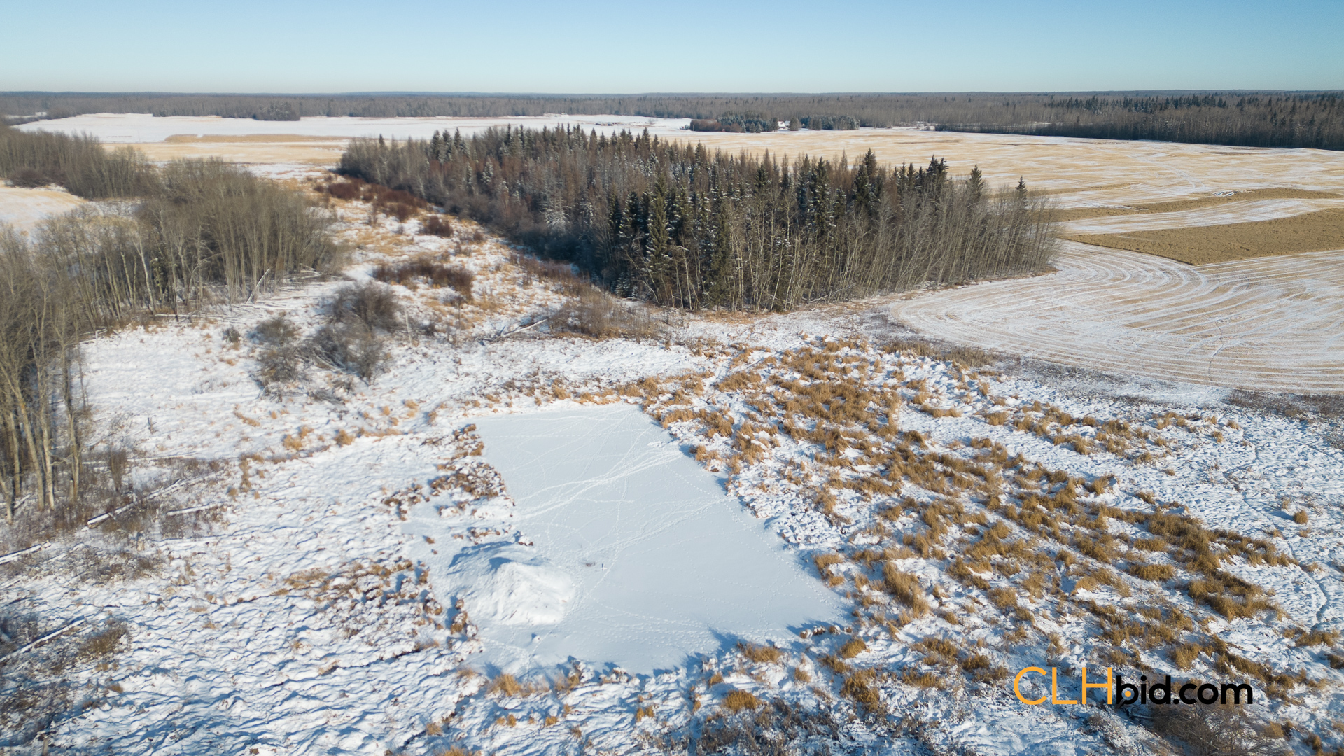 Web-ThorhildExpress-7