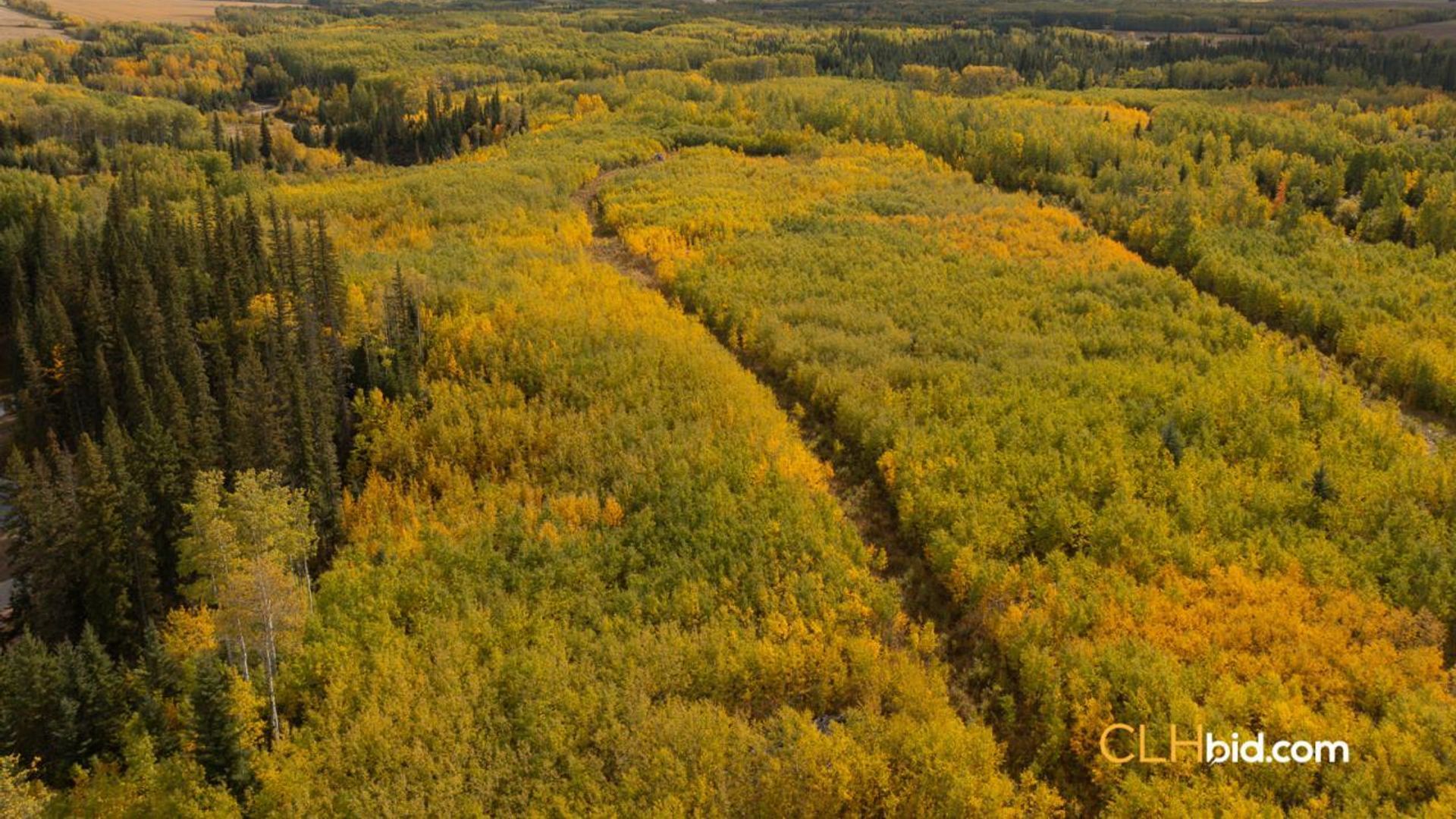 burntriverescape-1-10