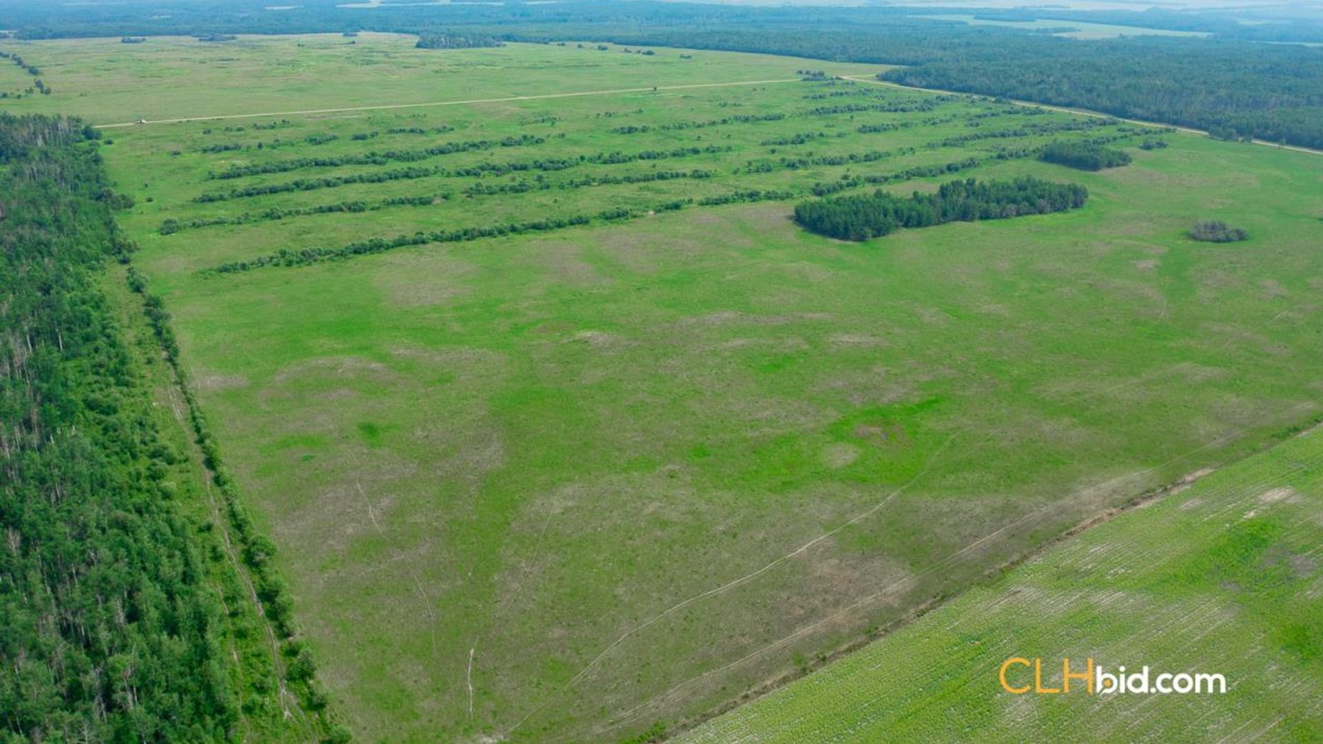 cattledrivecountry-5-4