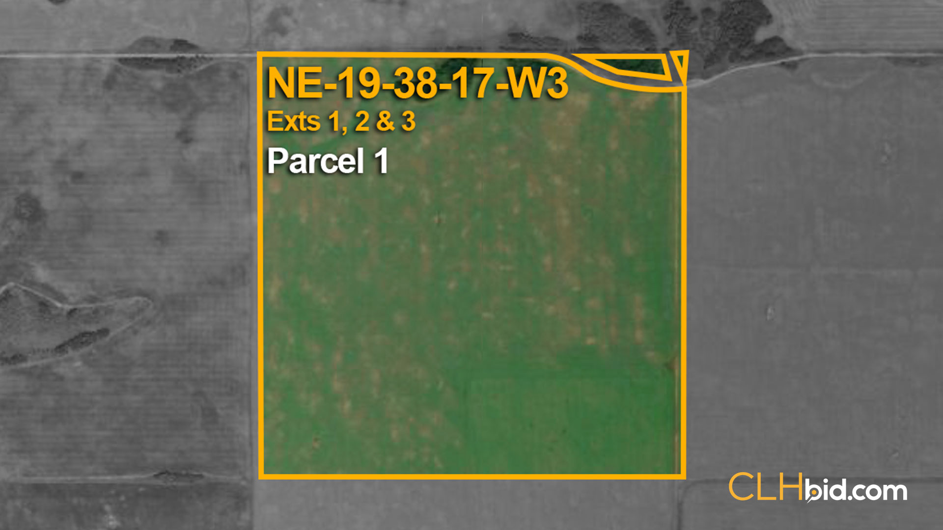 P1-NE-19-38-17-W3