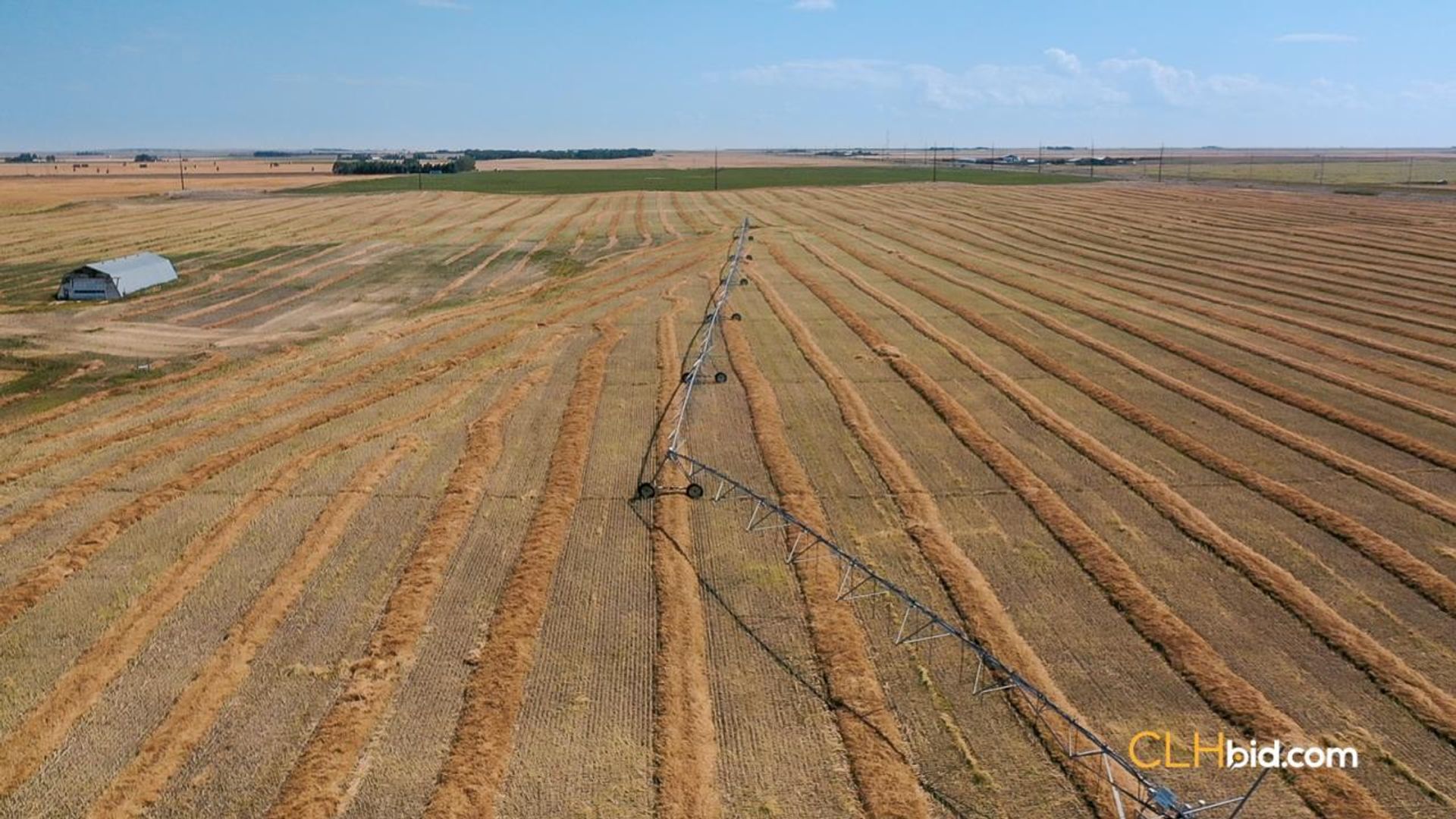 lethbridgehighroller-1-9