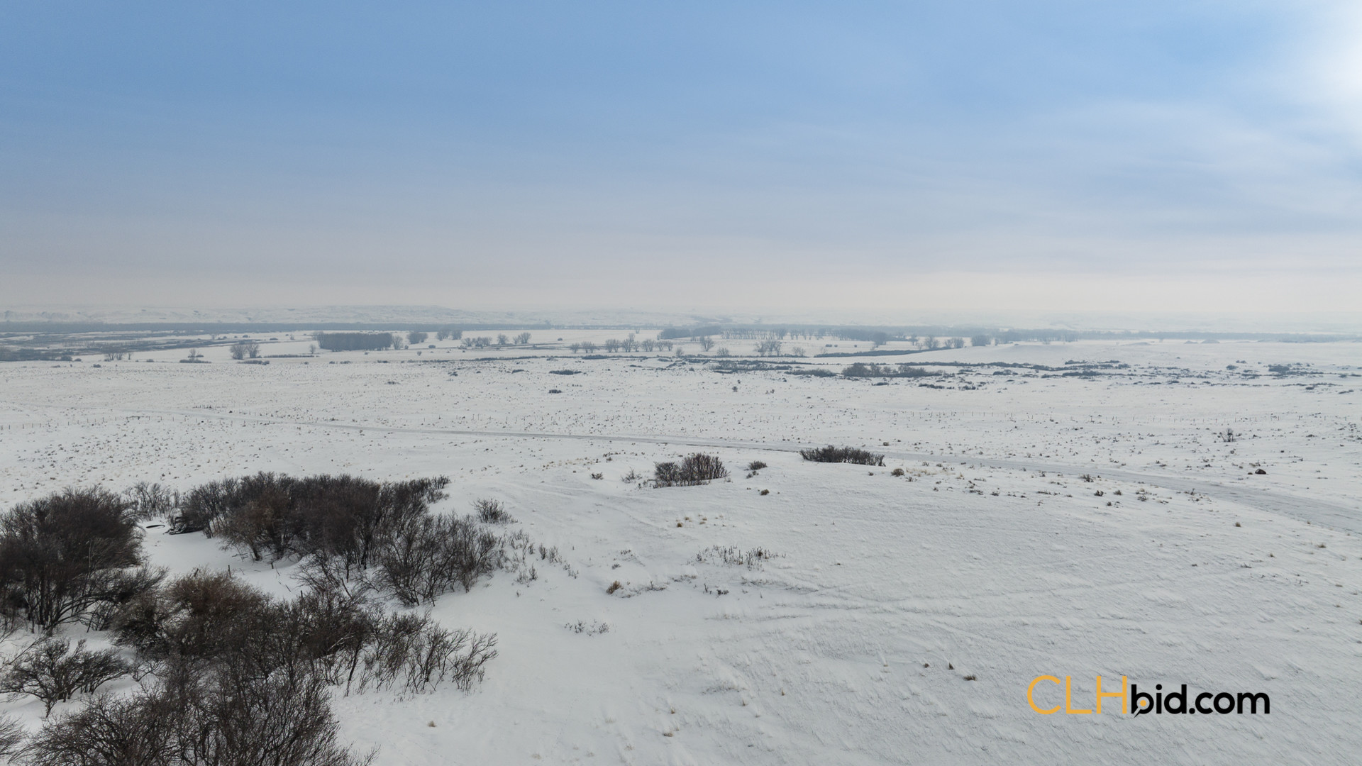 P1 Web169-AcresOfPedigree-61