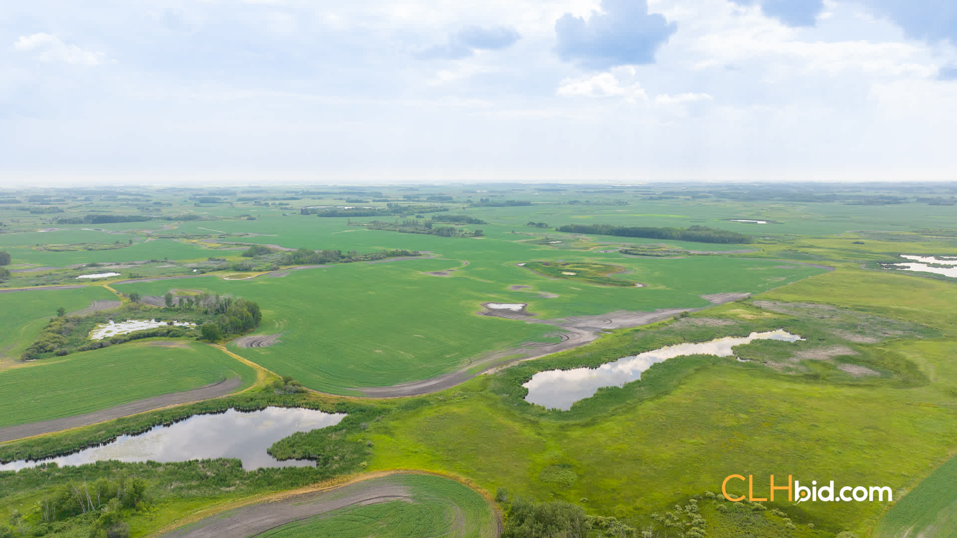 Web-ShoalLake-22