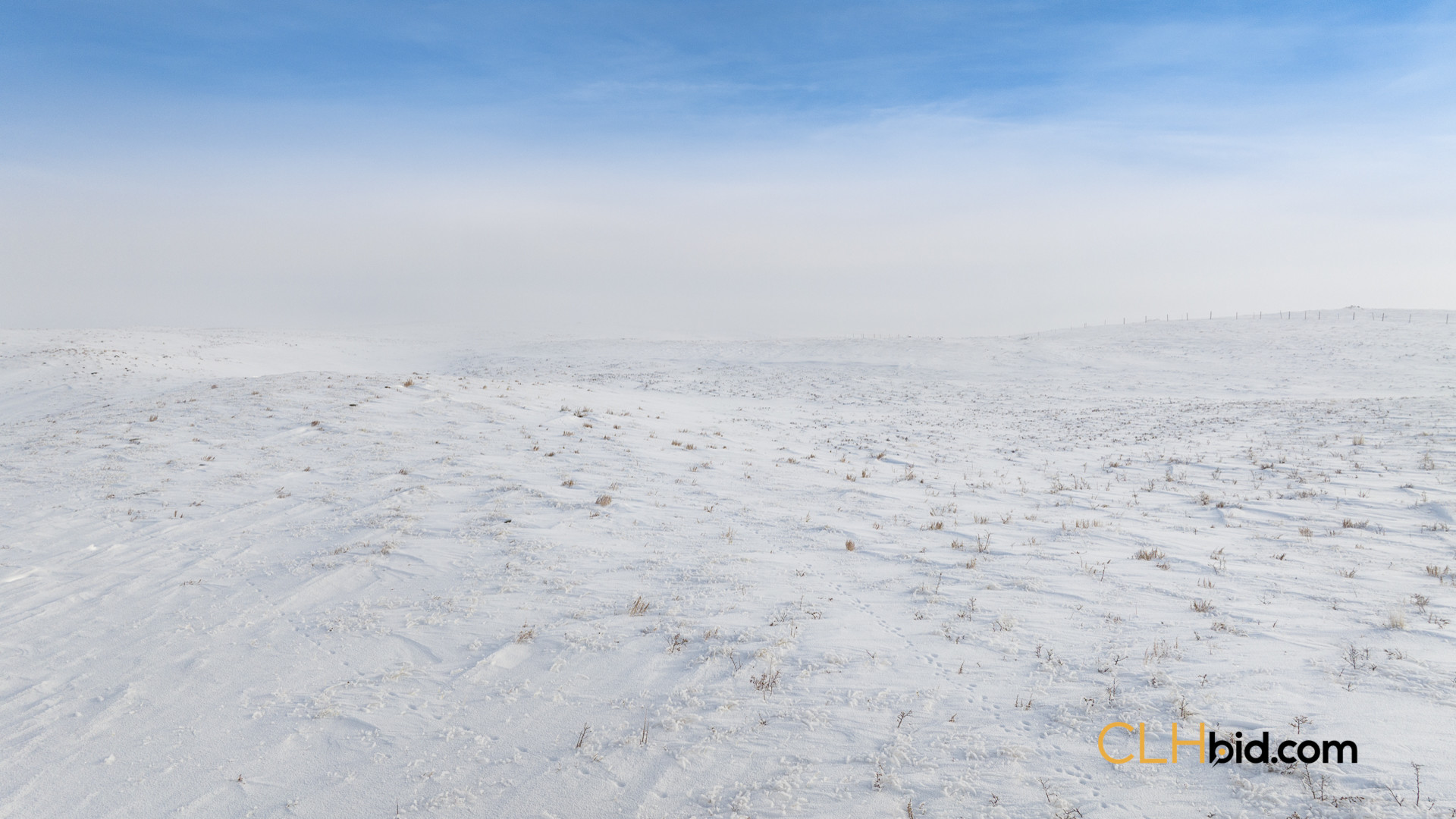 Web169-AcresOfPedigree-59