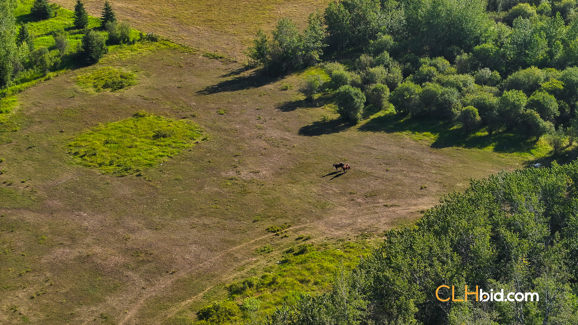 Web Rustlers Roost-14