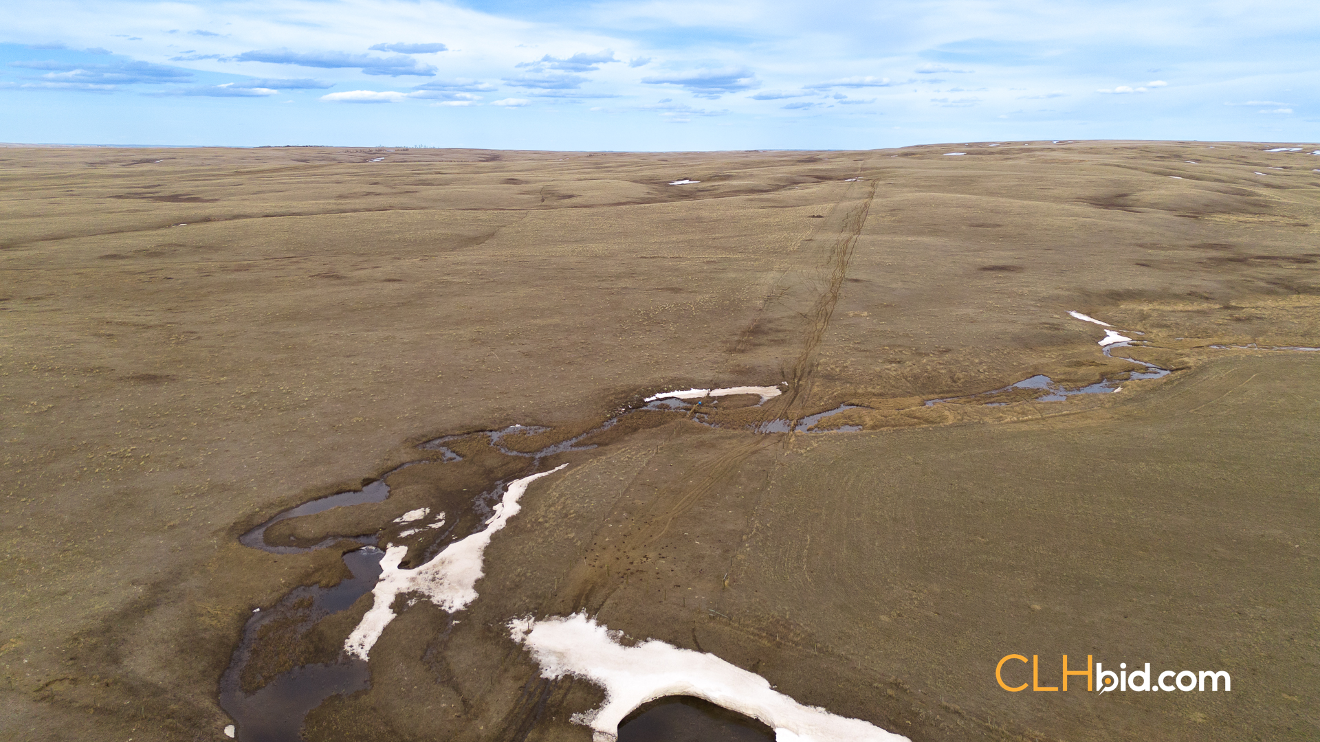 Web-HardGrassCountry-13