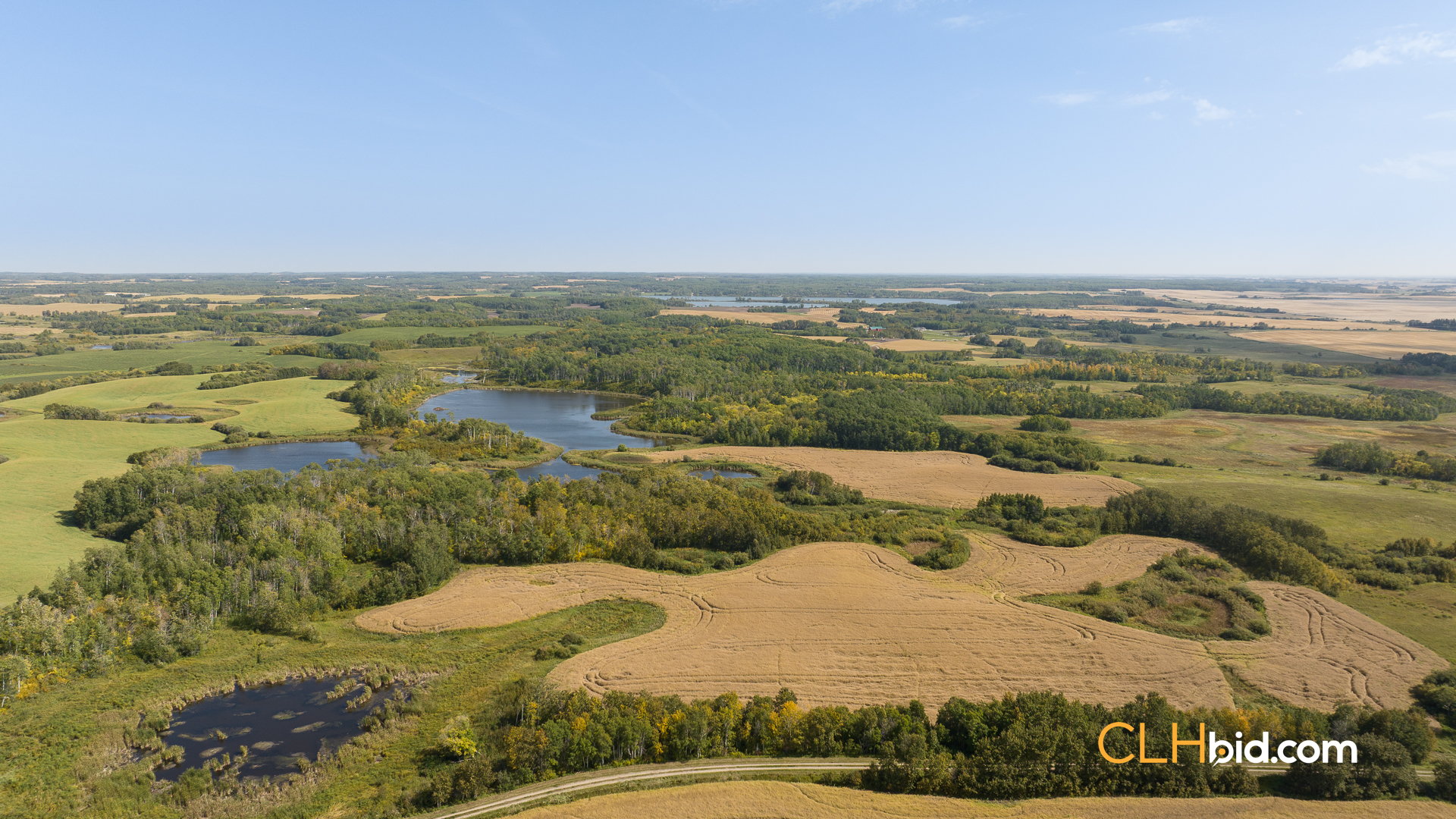 Web-RossburnPrimary-3