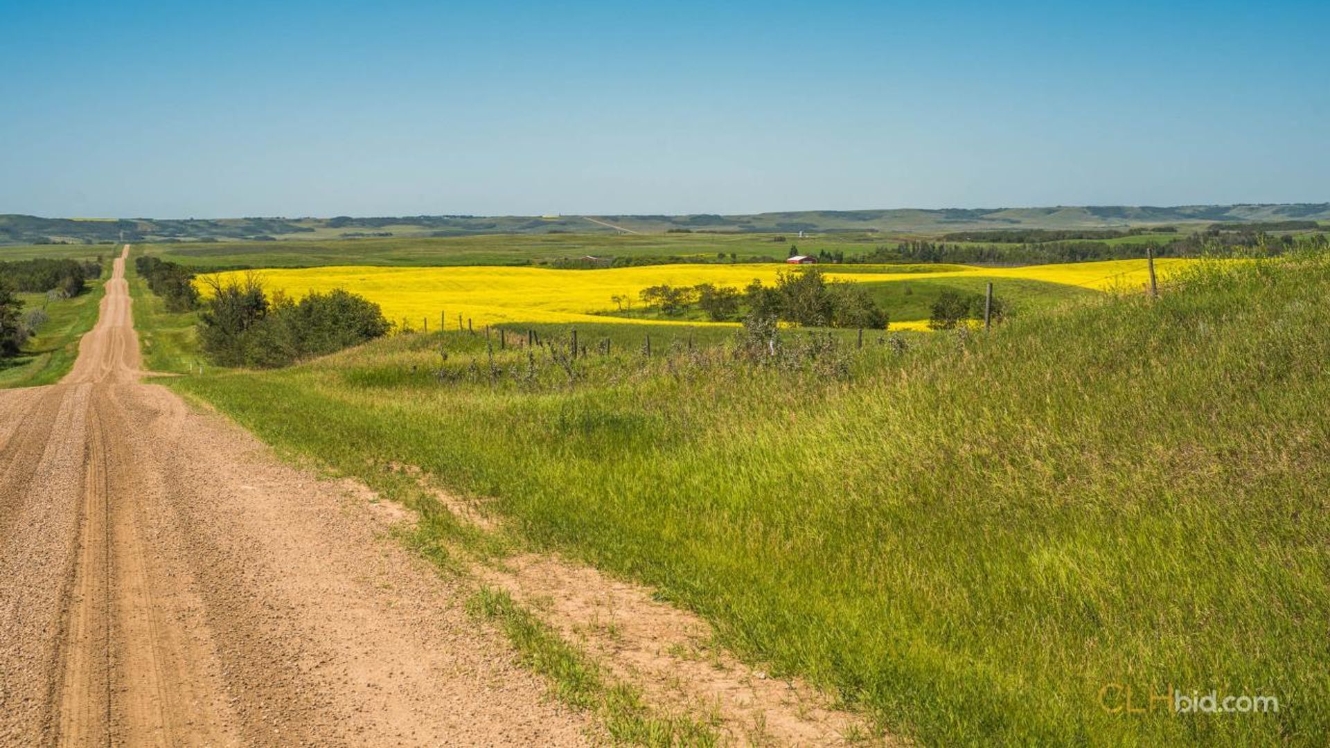 lazyadiamondranch-1-5