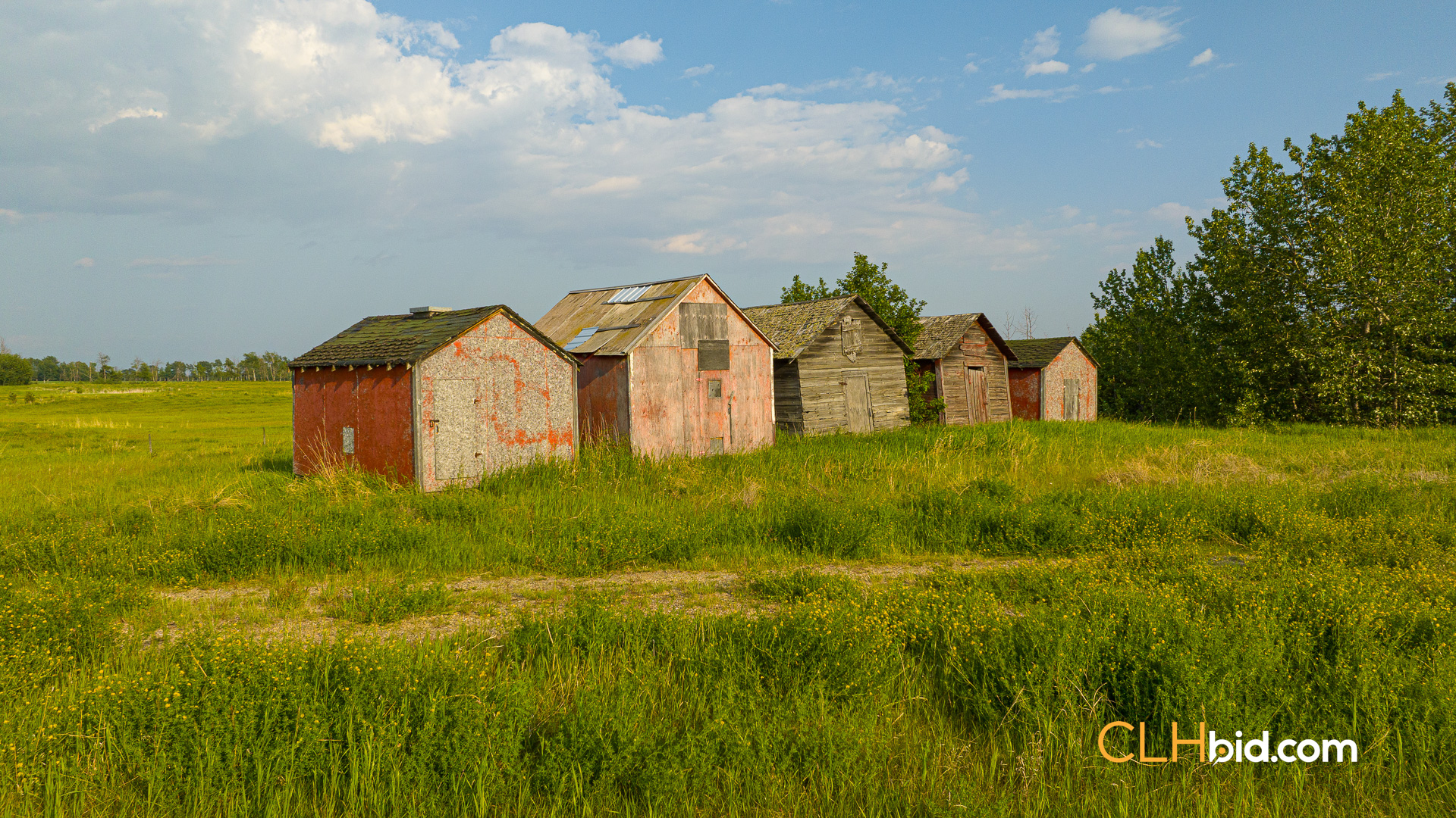 Web-WhitelawRoots-12