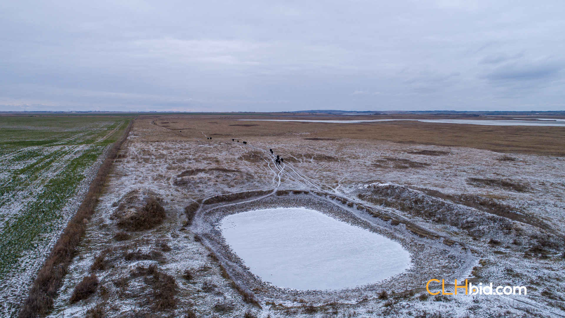 Web-Burke-Lake-Bonanza-16