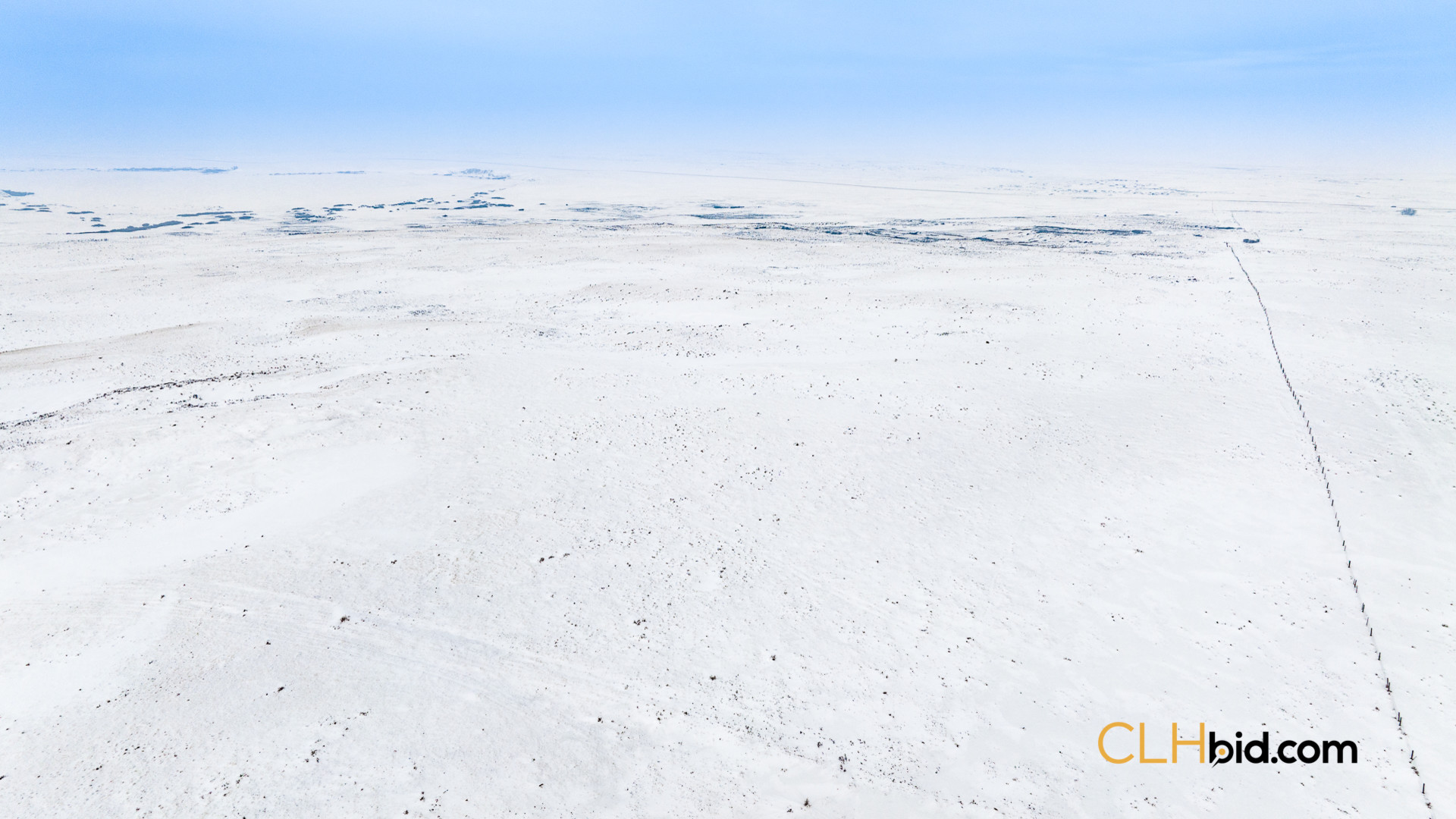 P1 Web169-AcresOfPedigree-49