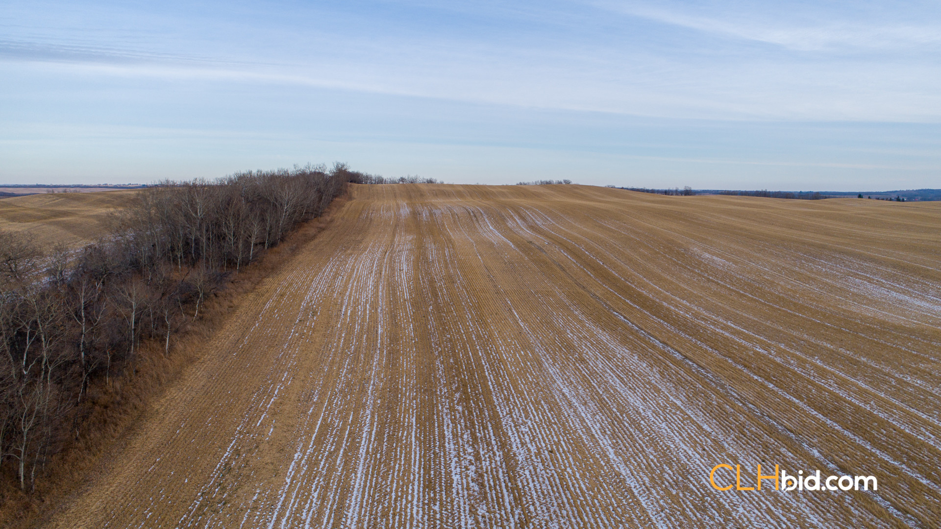 Web-Top-Shelf-160-16