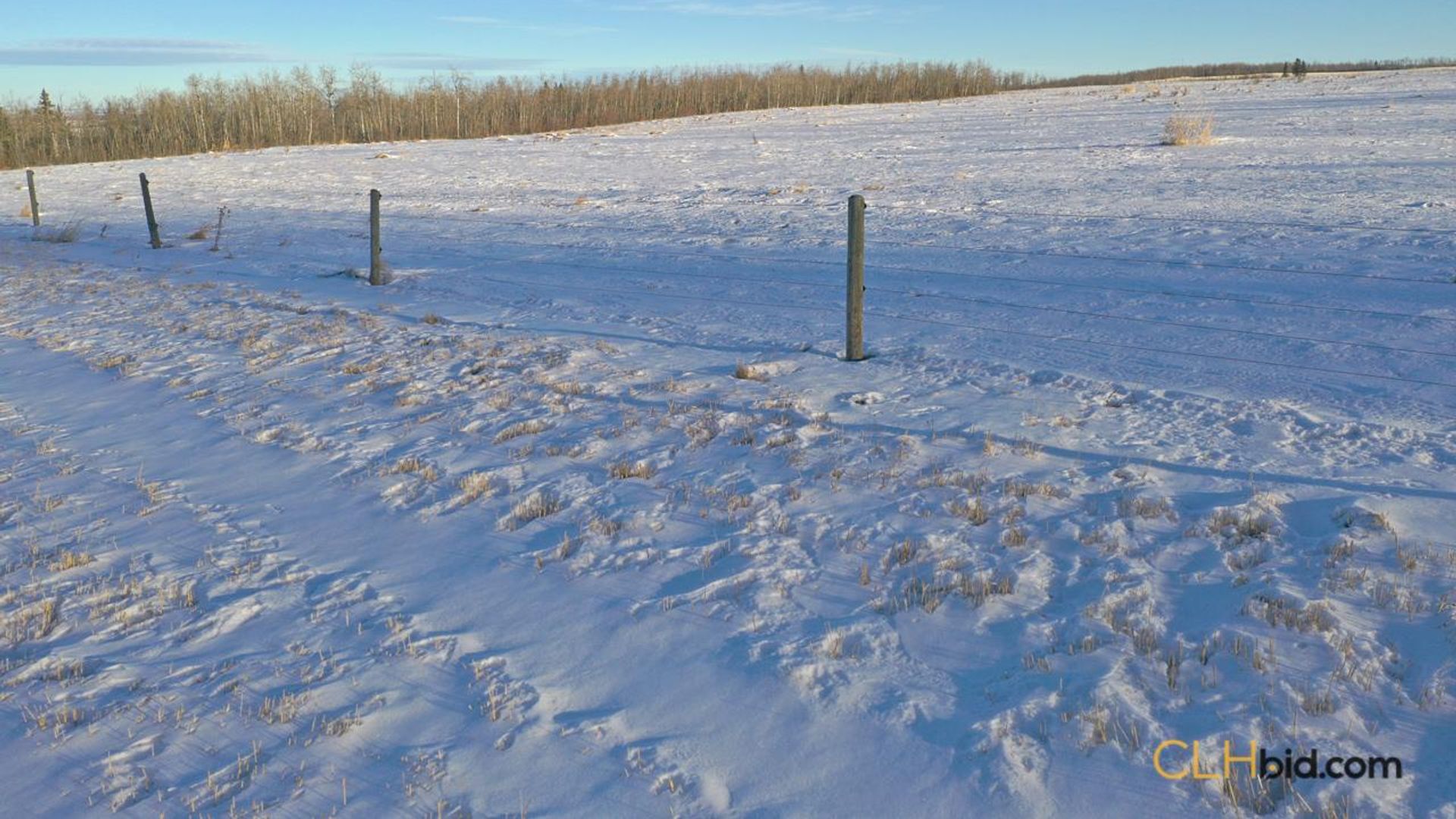 dreamershalfmile-1-4