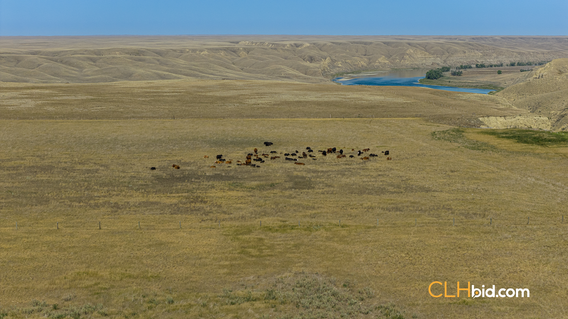 Web-MegaFortyMile-44